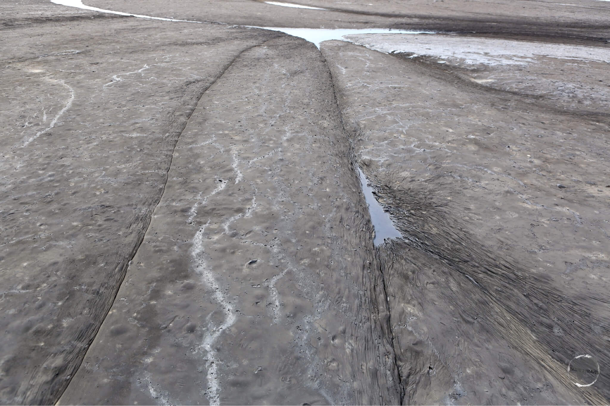 The surface of the 75-metre deep La Brea Pitch Lake, the largest natural deposit of asphalt in the world. 