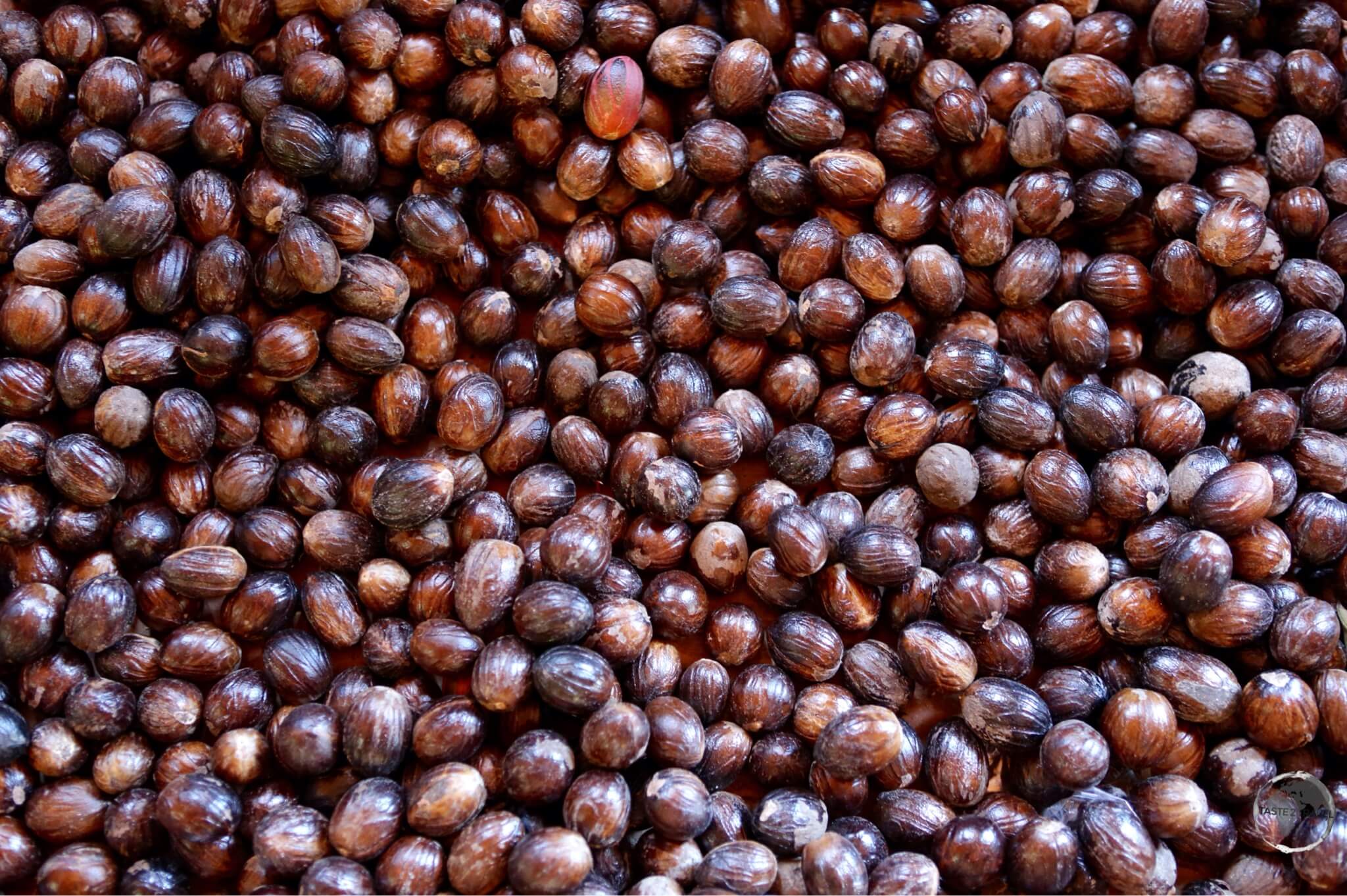 Nutmeg, laid out to dry, at the Grenada Co-operative Nutmeg Association.