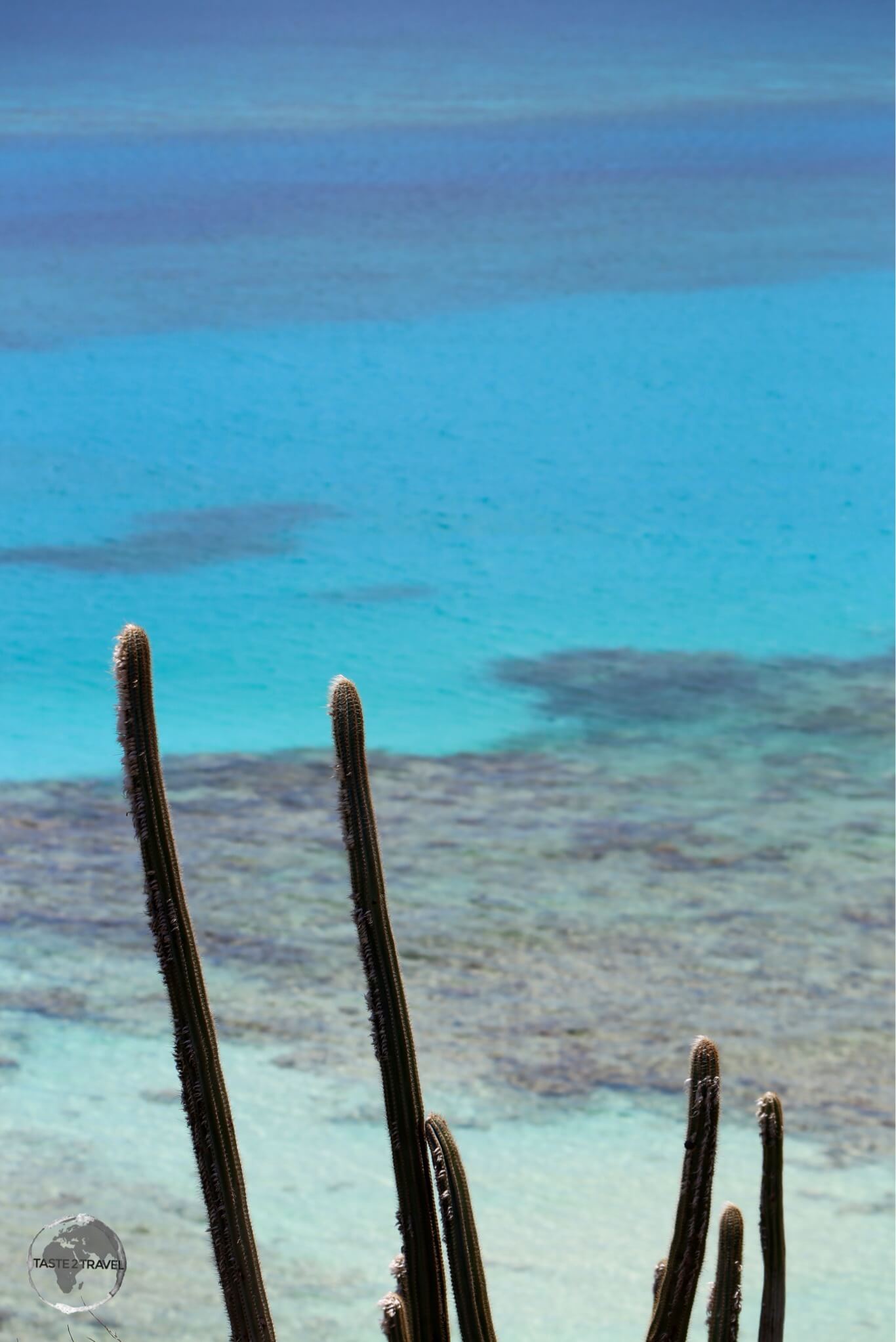 Beach on Virgin Gorda Island.