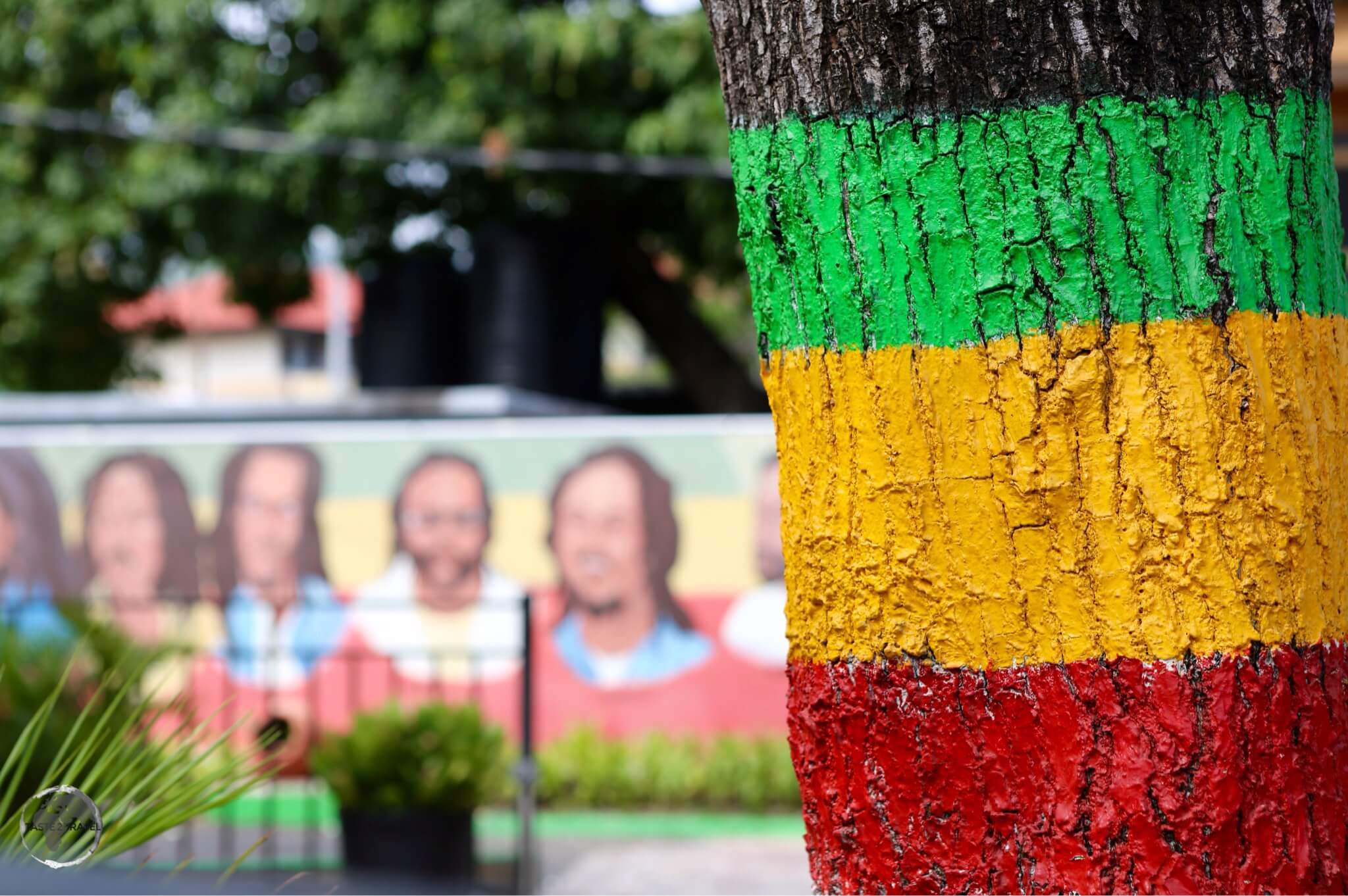 A tree painted in the Rasta colours at the Bob Marley museum in Kingston.