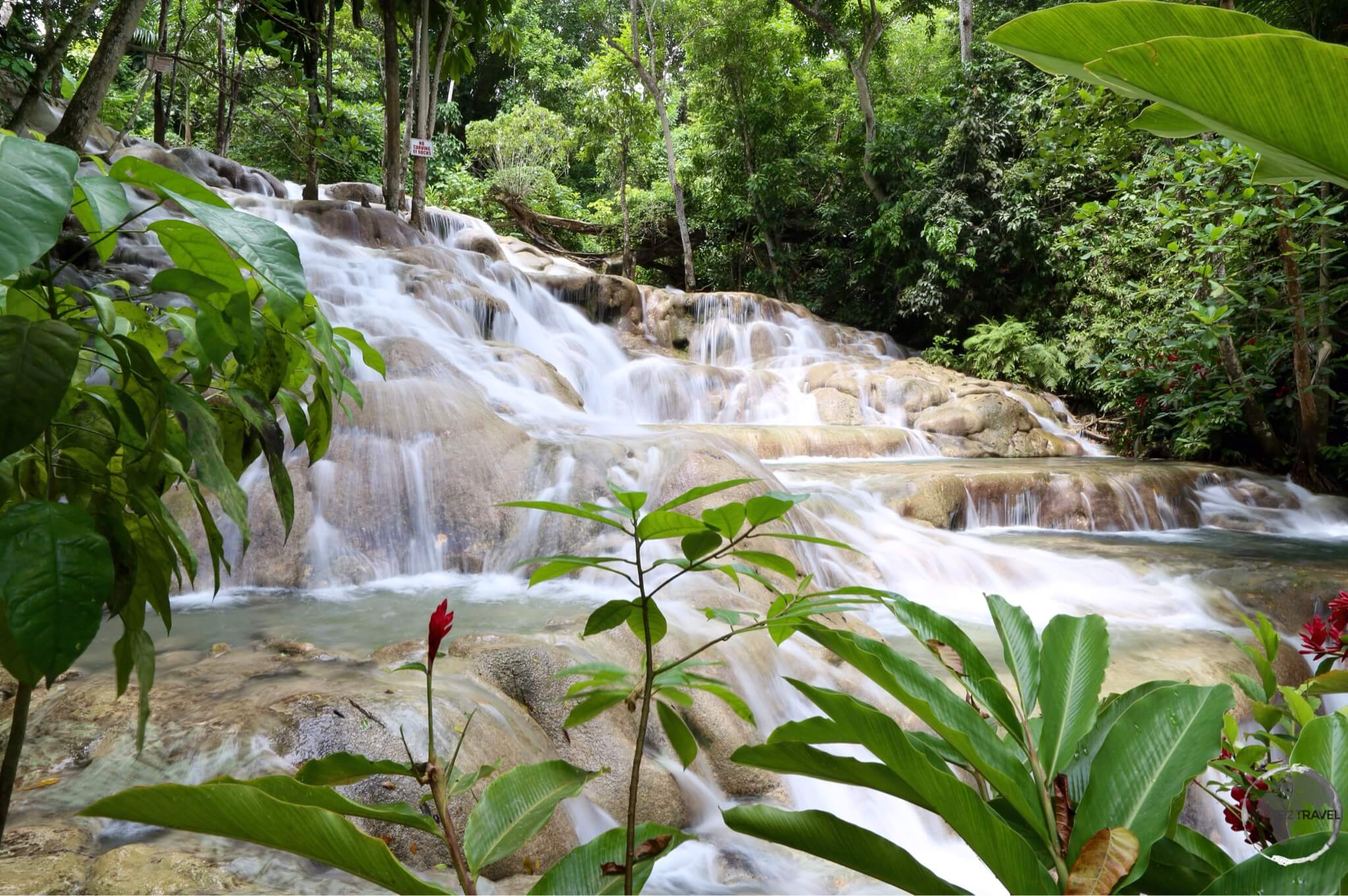 A highlight of Jamaica - Dunn's river waterfalls.