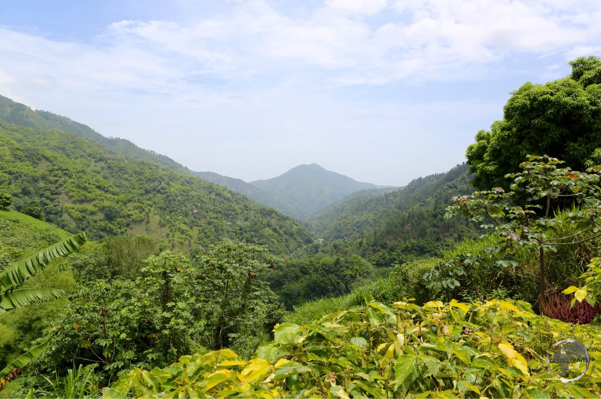 Blue Mountains, home to Jamaica's famous Arabica coffee plantations.