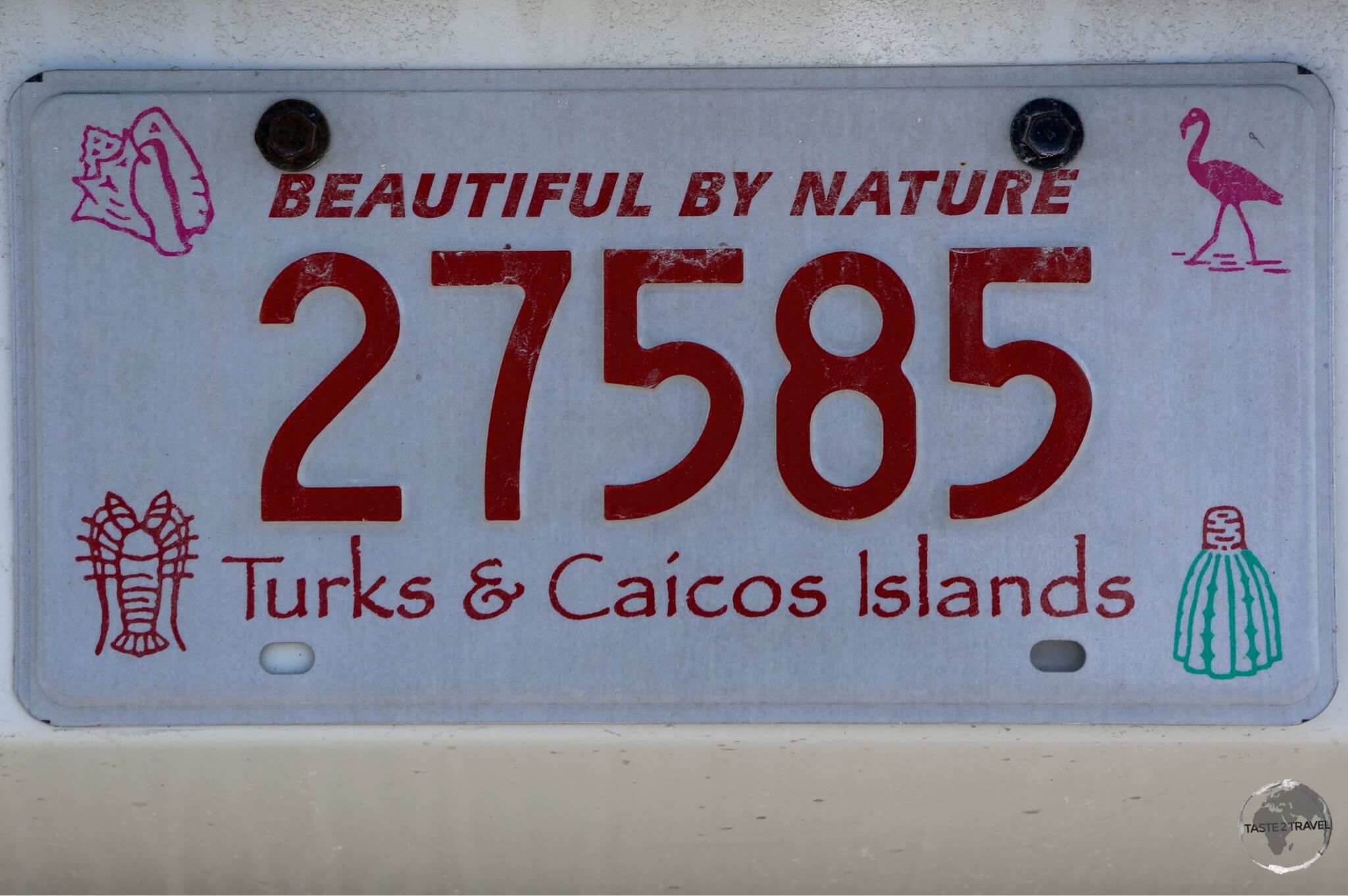 The license plate of my rental car on TCI.