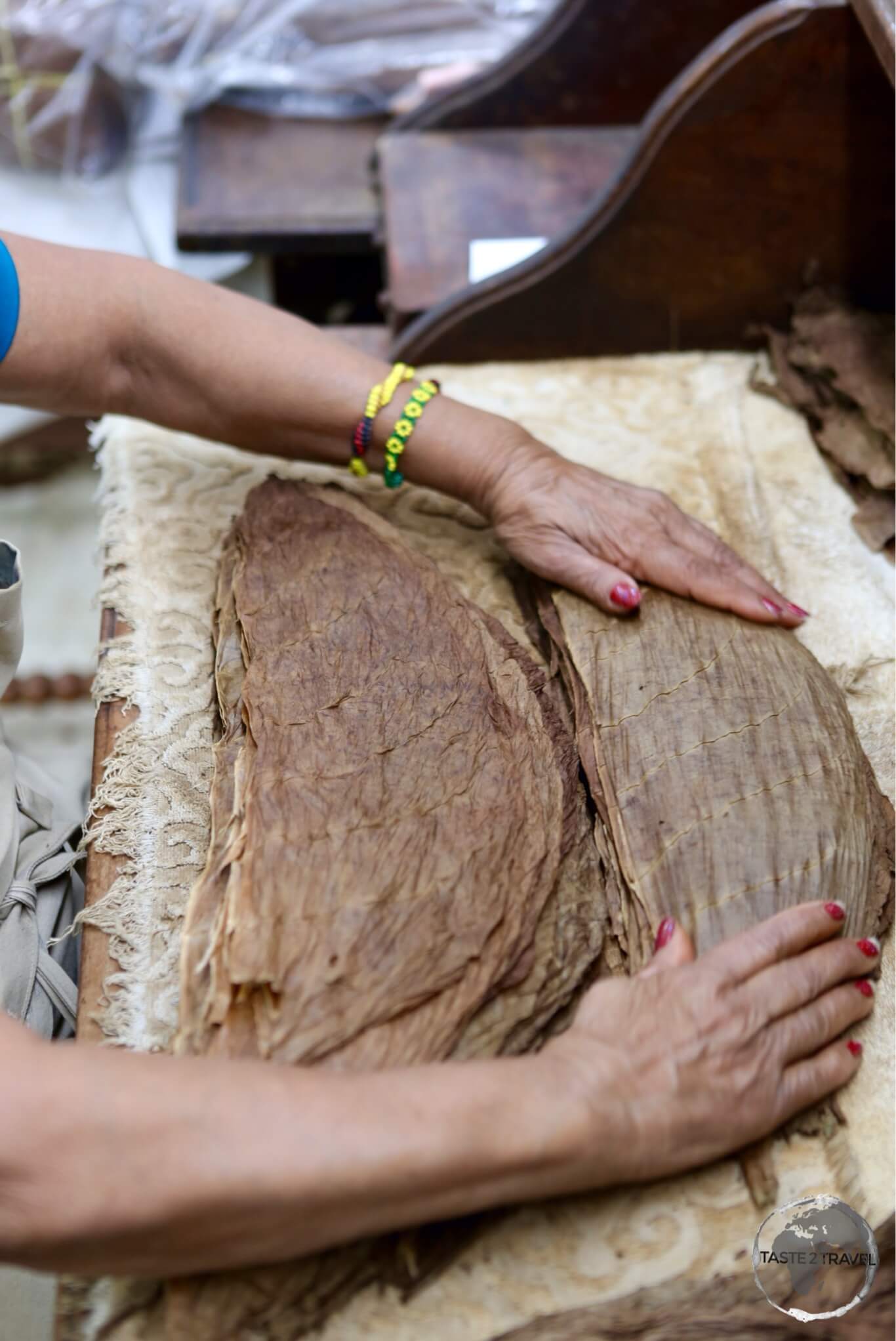 Cigar maker at the Graycliff hotel.