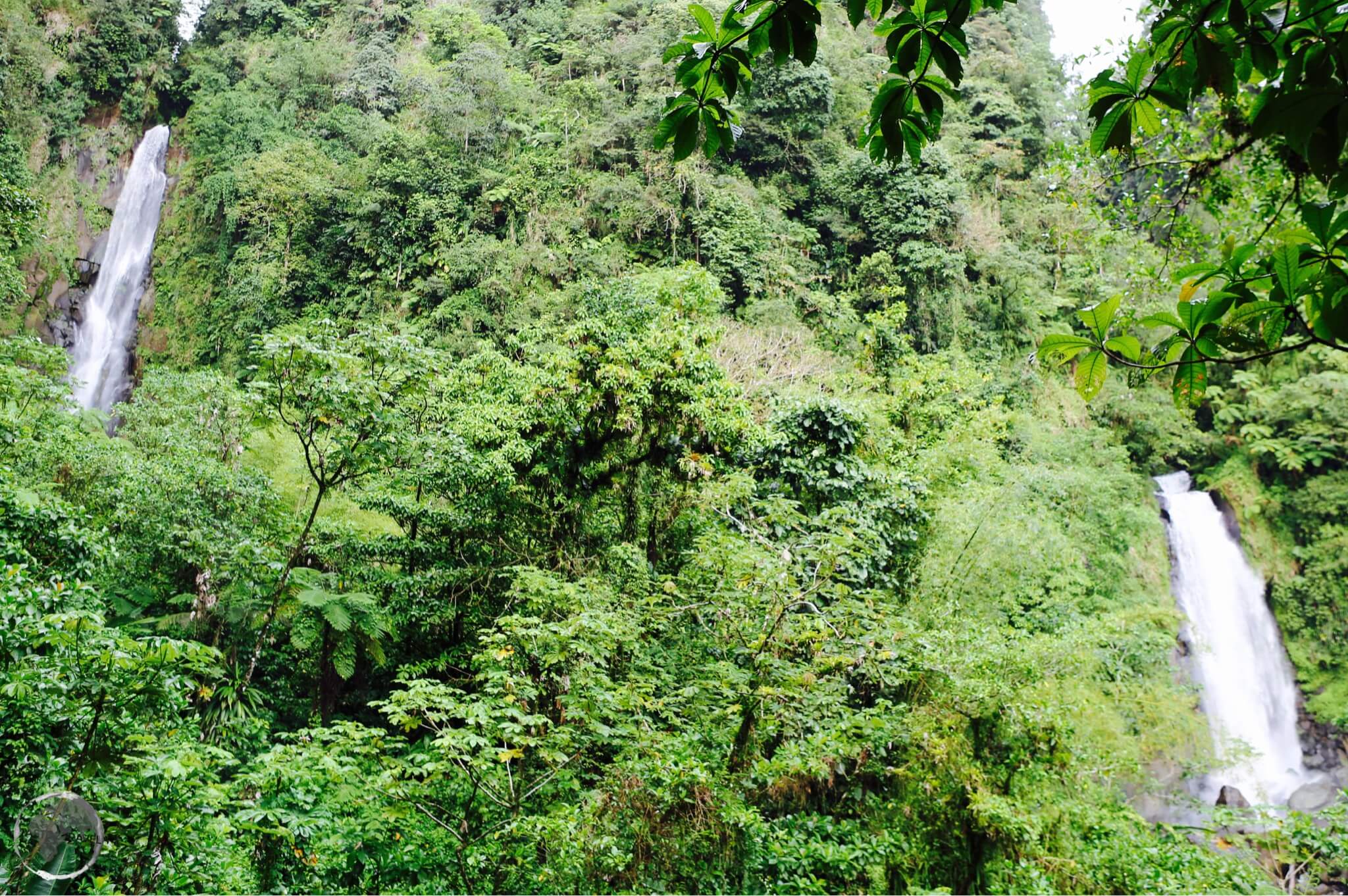 The hot (left) and cold (right) falls at Trafalgar falls, Dominica.