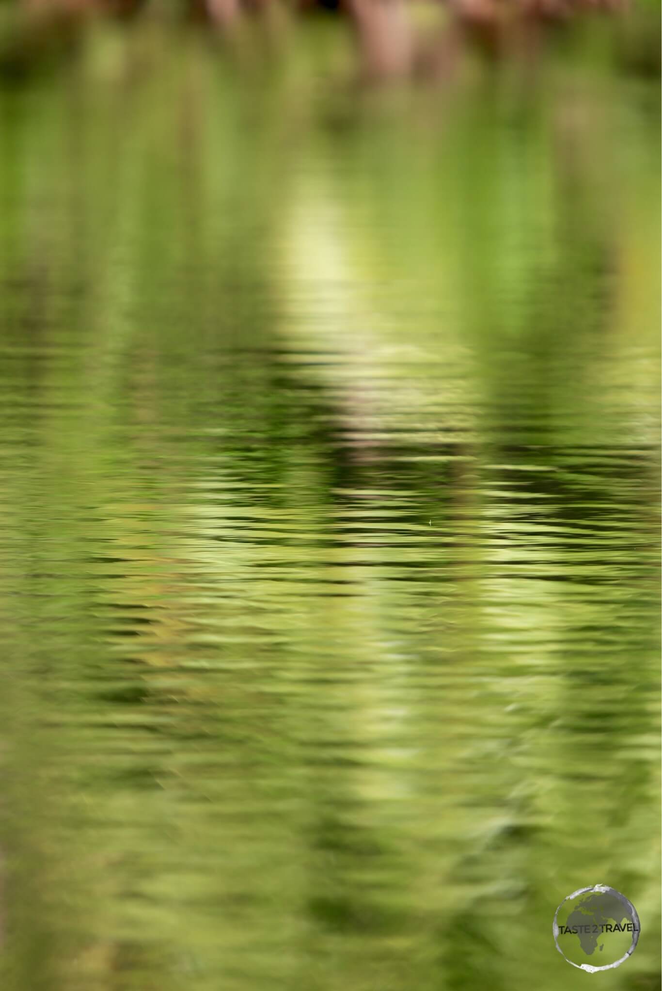 Indian River reflections, Dominica.