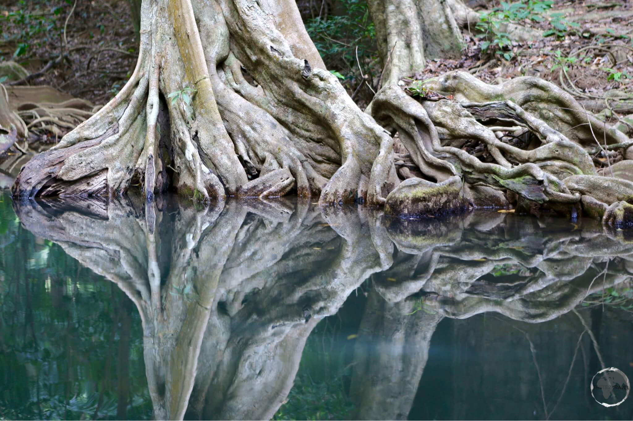 Reflections on the Indian river