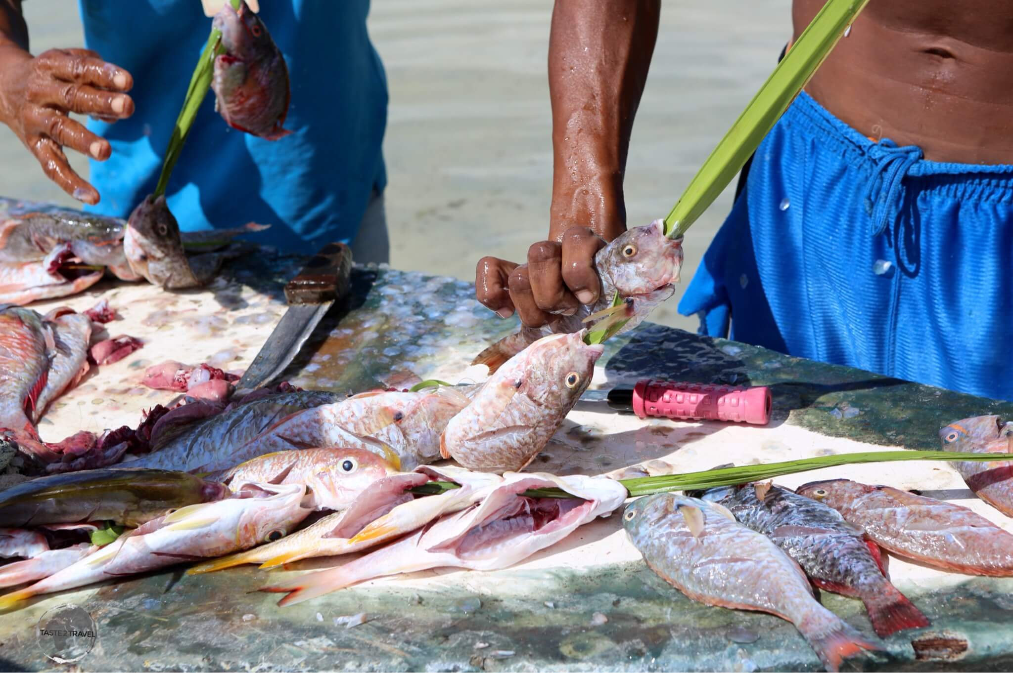 Fisherman at Boca Chica