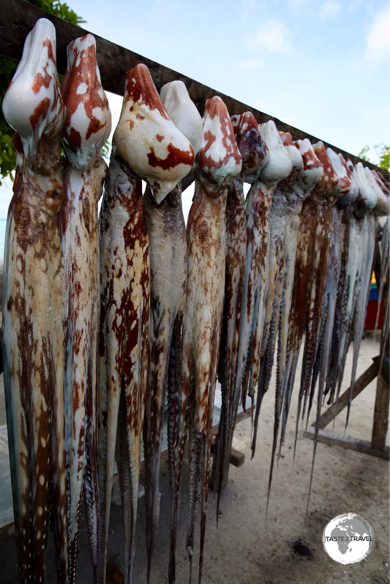 Octopus for sale at a roadside fish market on South Tarawa. 