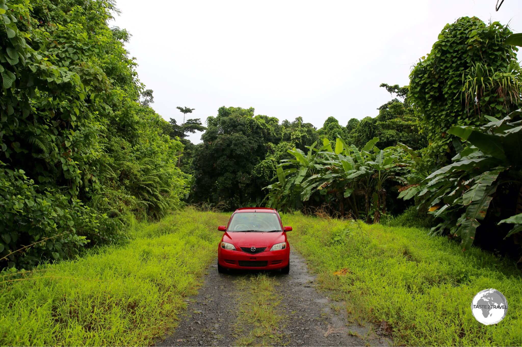 Touring the forested interior of Kosrae with Carlos.