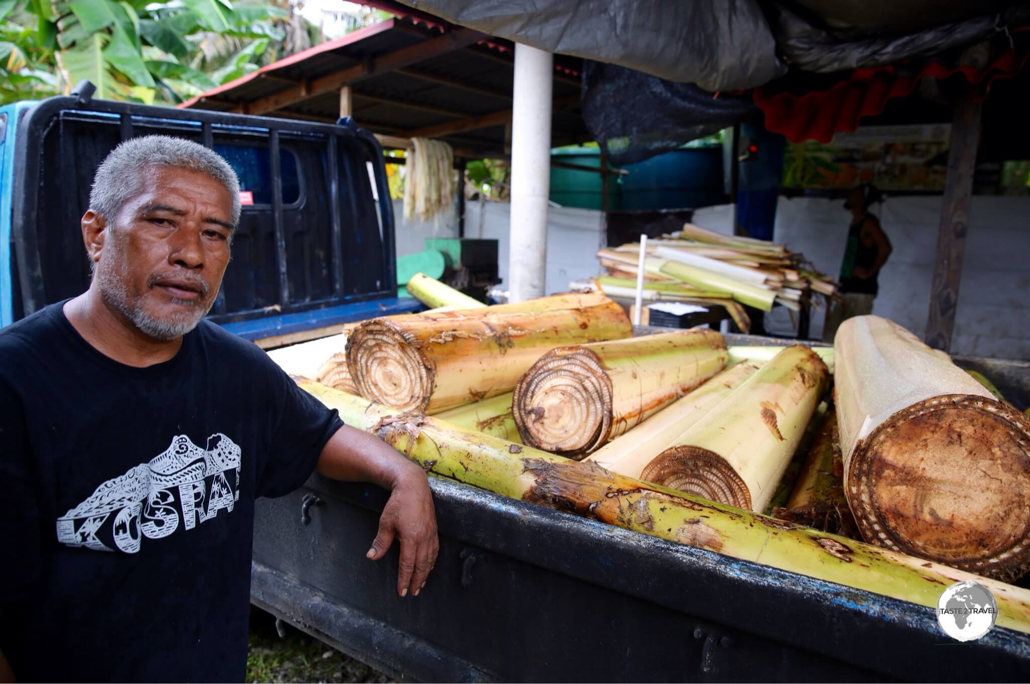 Step 1. Banana plants arrive at the factory for processing - a sustainable use of old banana trees. 