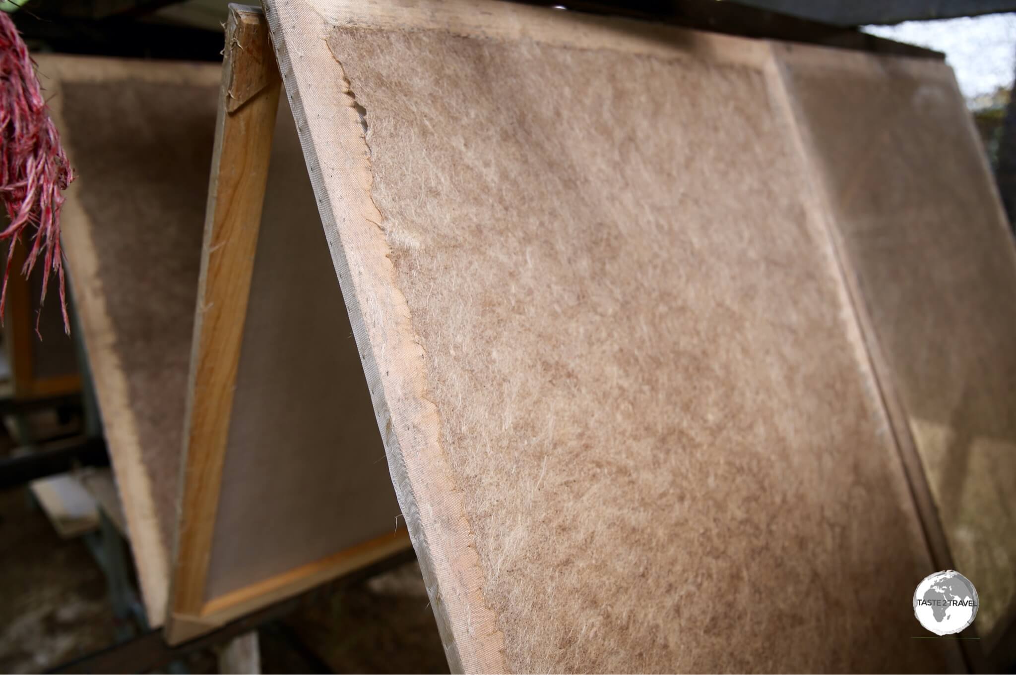 Step 4: The dried plant fibre is pulped with recycled paper and laid out to dry on wooden frames.