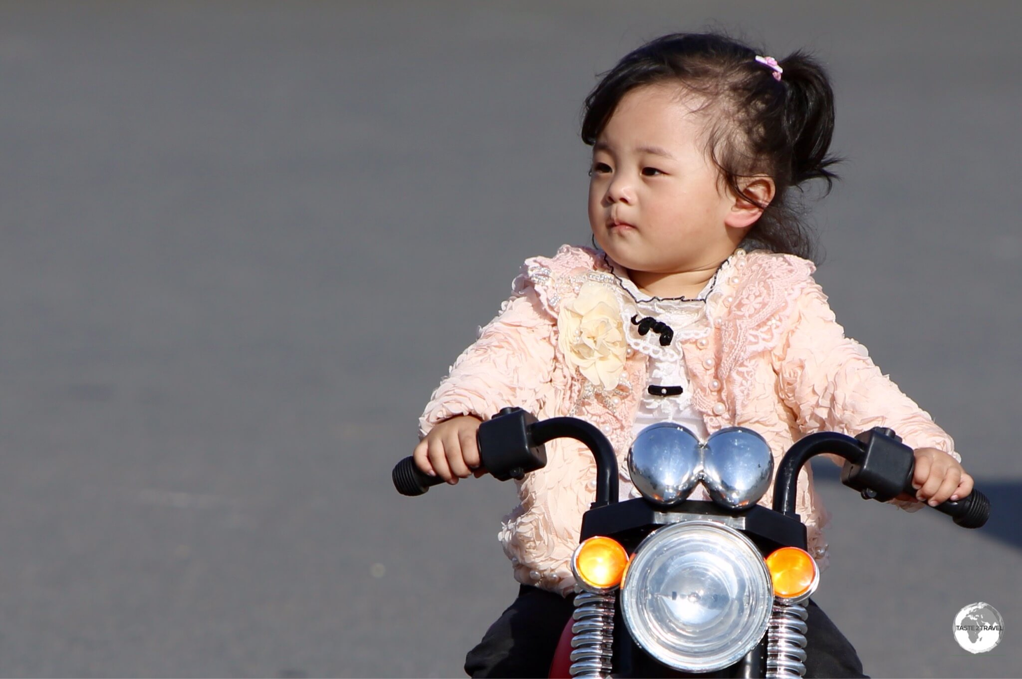 A young girl playing at the Pyongyang Central zoo.