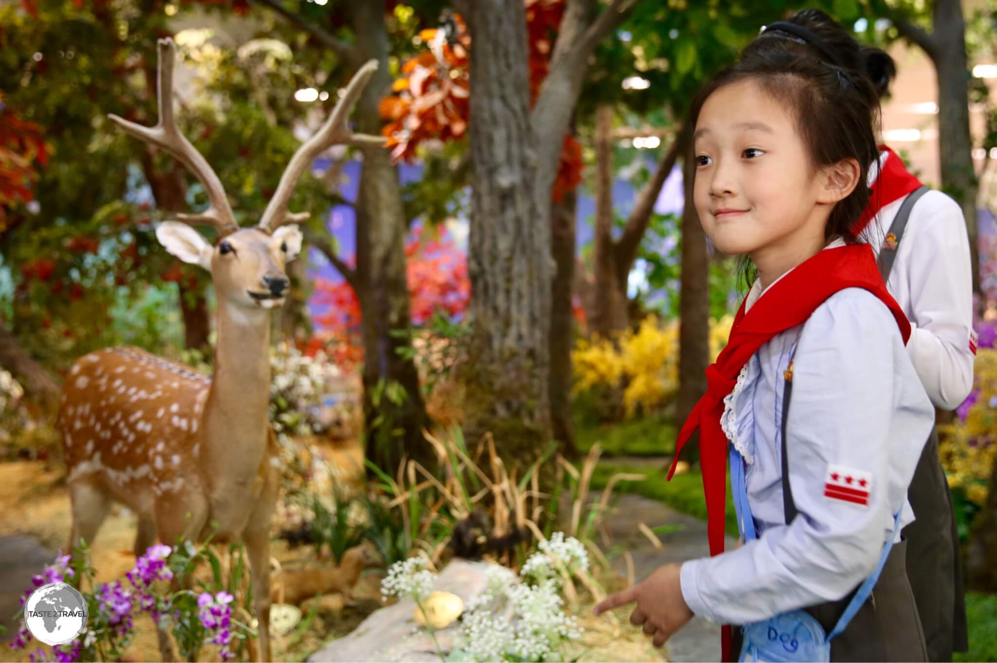 School girls explore a nature exhibit at the DPRK Science &amp; Technology complex in Pyongyang.