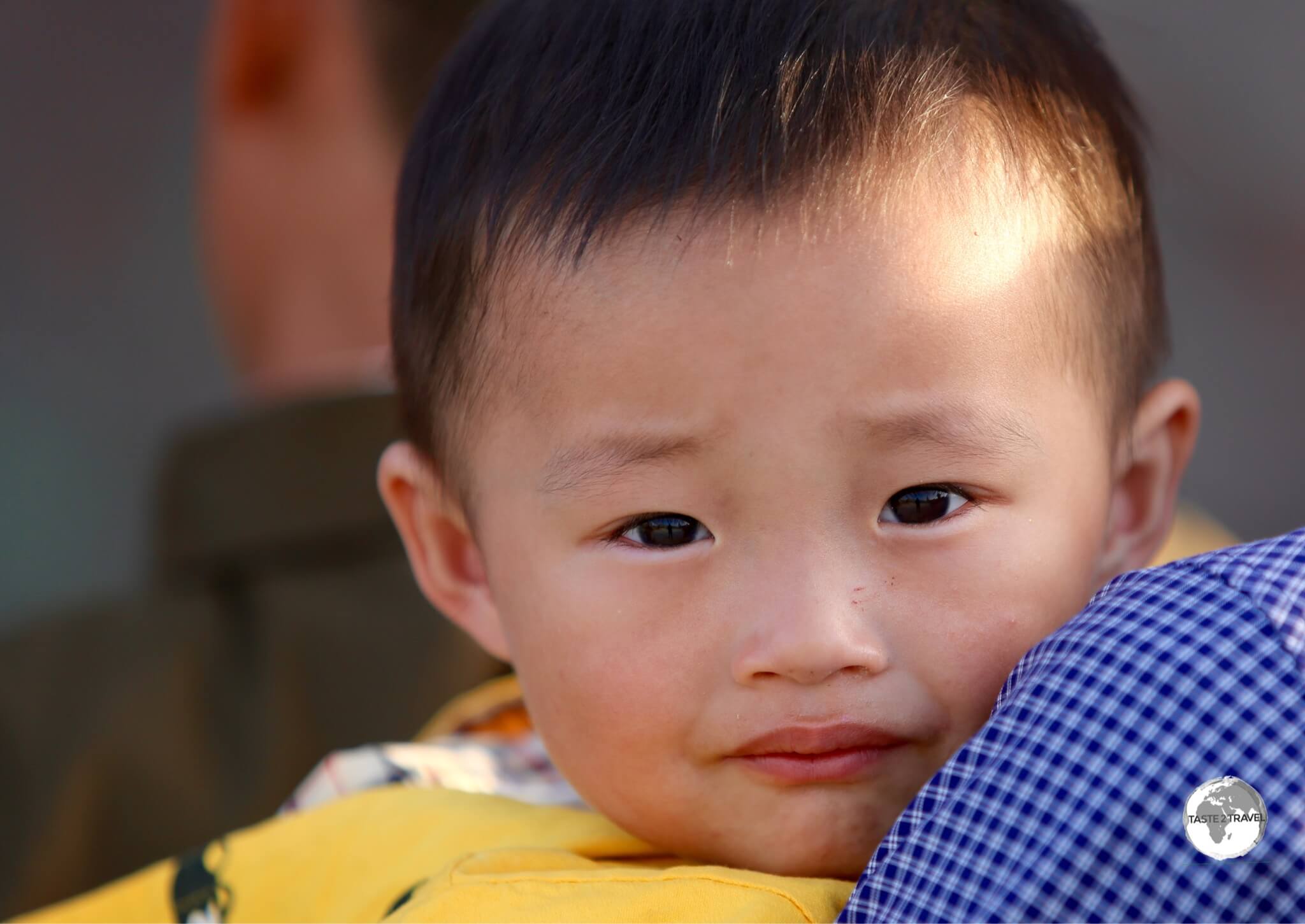 A young boy enjoying the Pyongyang zoo.