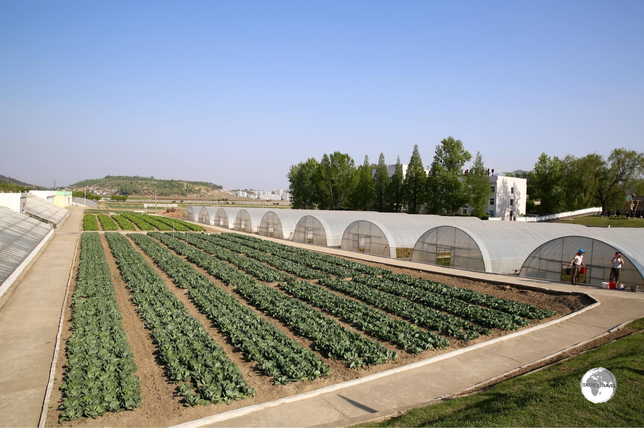 Vegetable gardens at the <i>Chongsan-ri Cooperative Farm</i>.