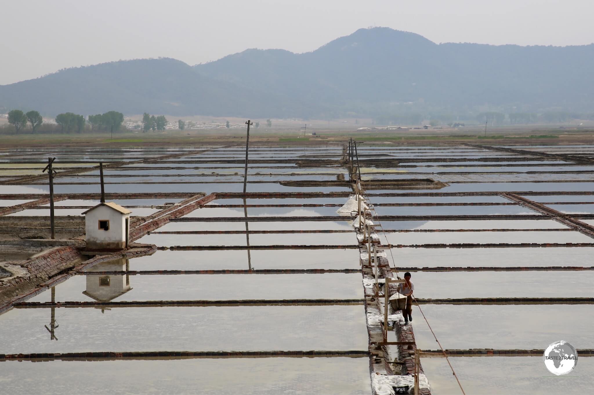 Rice paddy fields located outside of Nampo city.