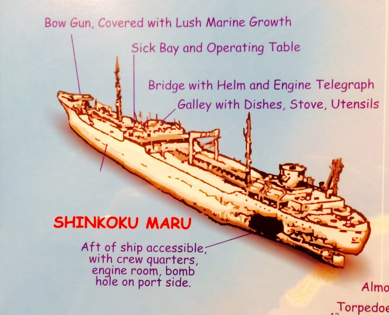 The Shinkoku Maru wreck which lies at the bottom of Chuuk lagoon.