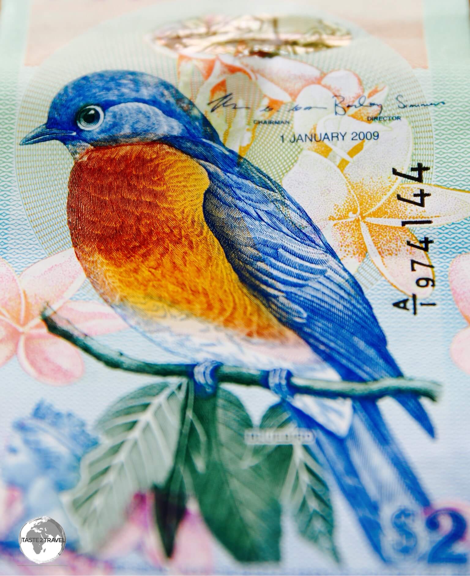 The Bermuda Blue Bird is featured on the Bermuda $2 bank note. 