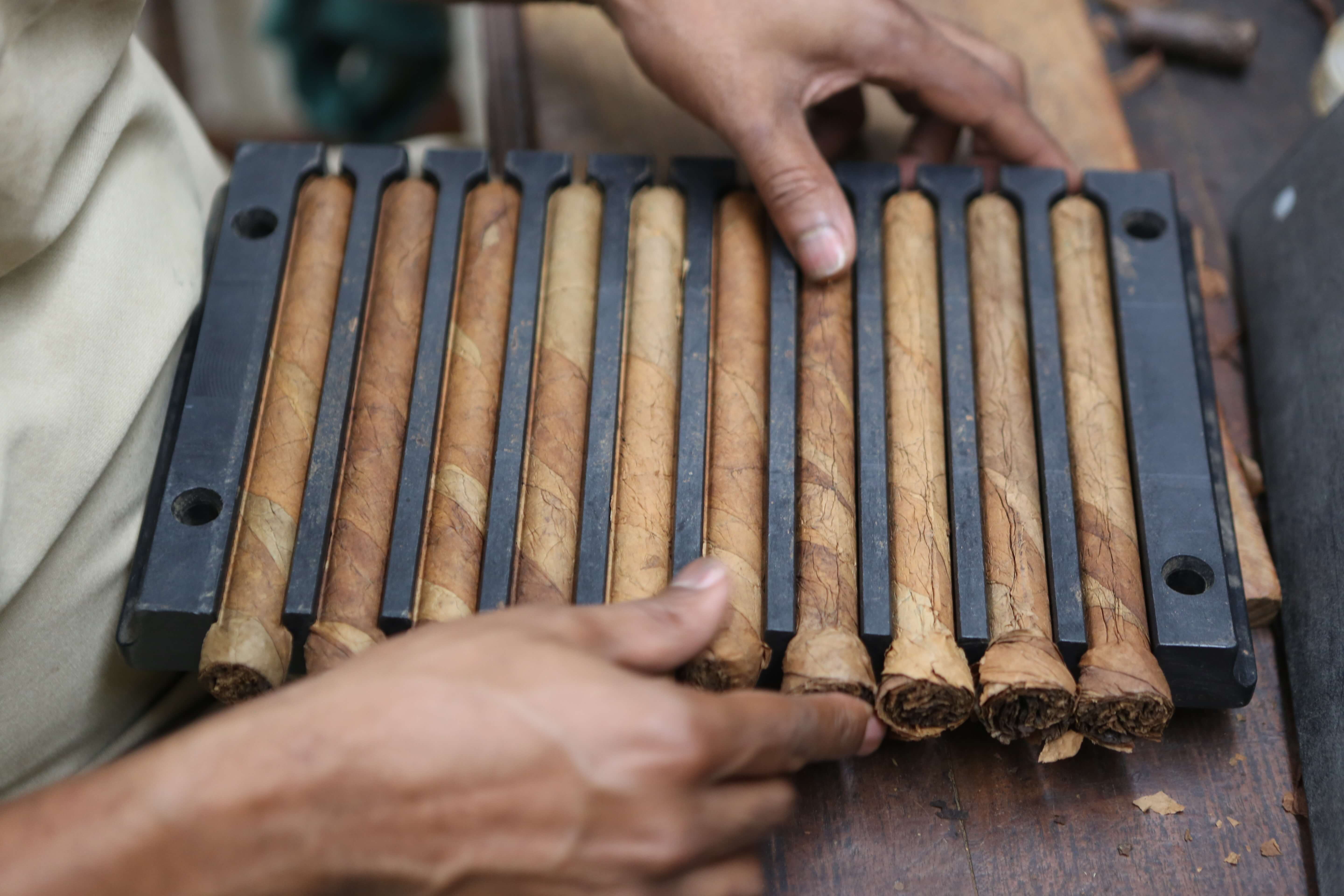 Cigar maker at the Graycliff hotel.