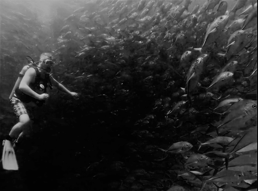 Diving on Sipadan Island