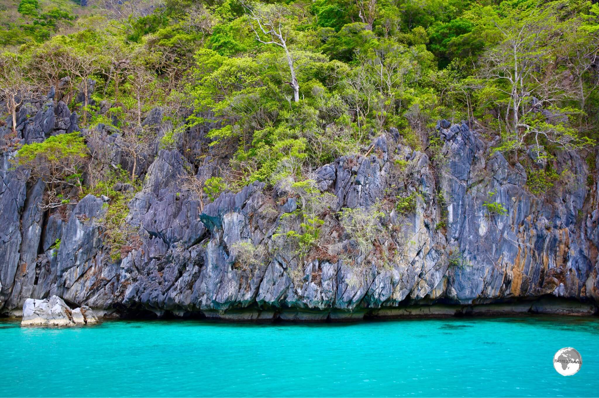 Looking like a swimming pool, this was the first dive site for our day of diving. 