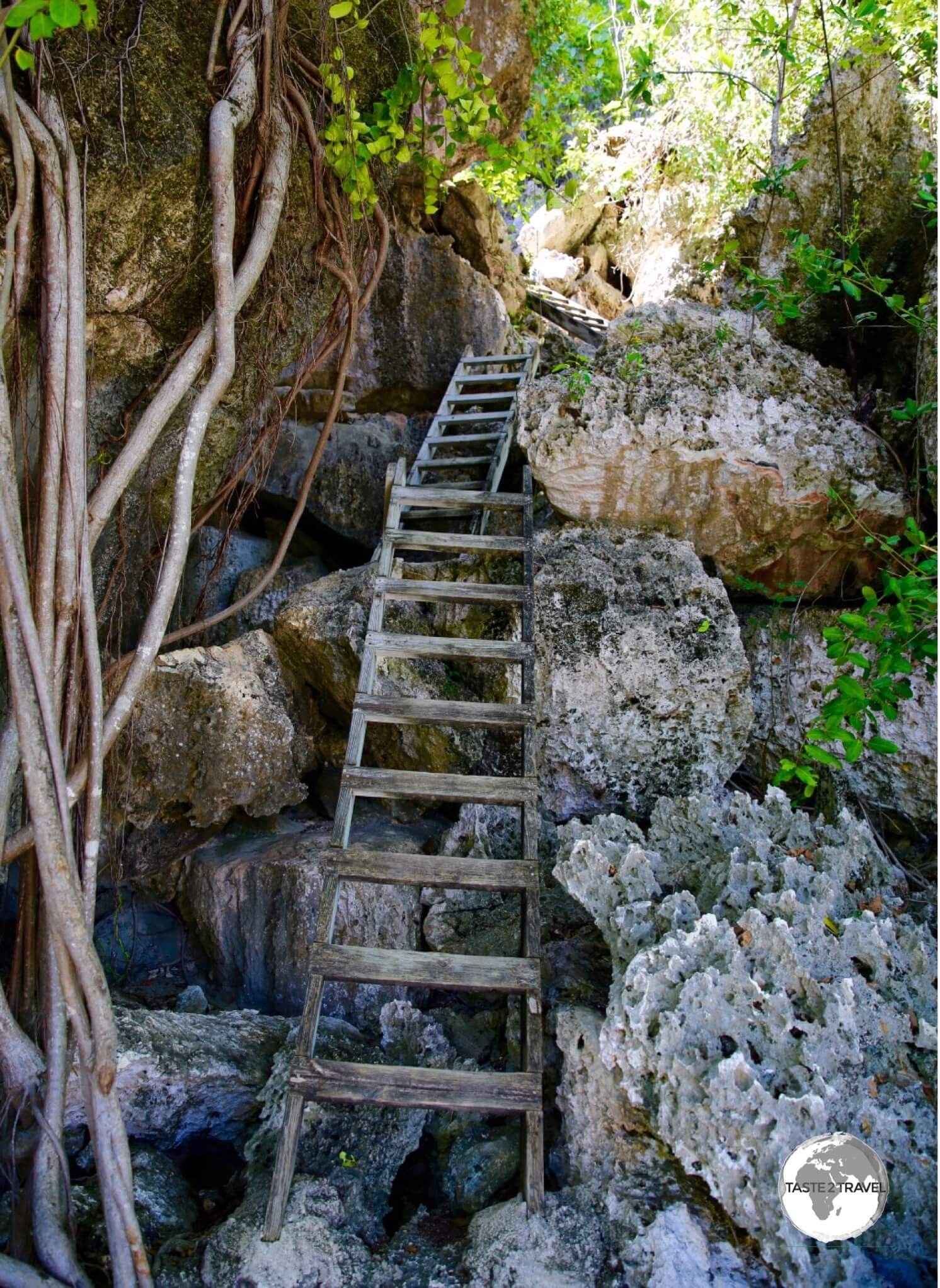 Entrance to Great Cave on Cayman Brac.