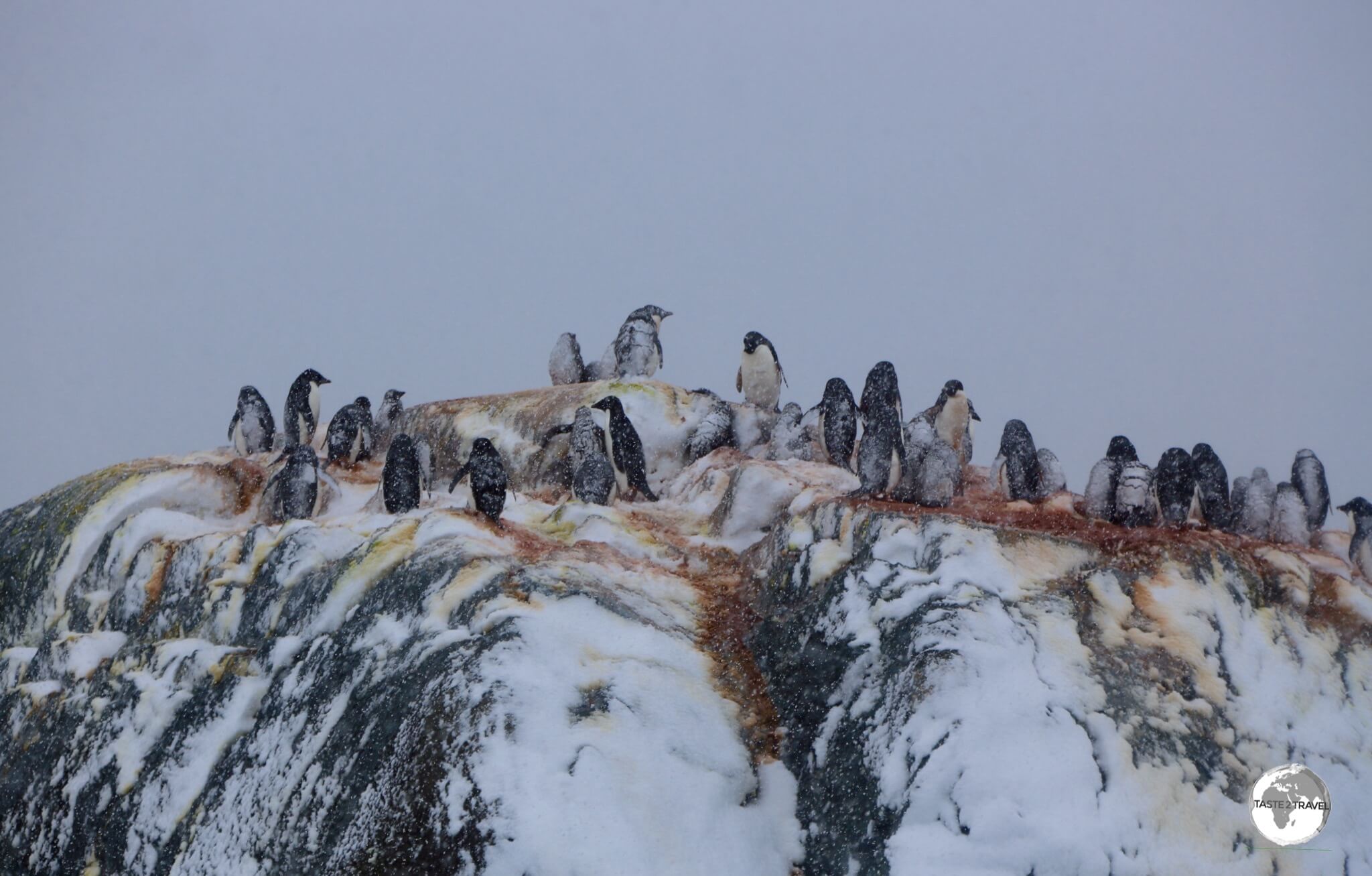 Small in area, the Yalour Islands are comprised of many small rocky, igneous islets which are home to numerous Adélie penguin breeding colonies.