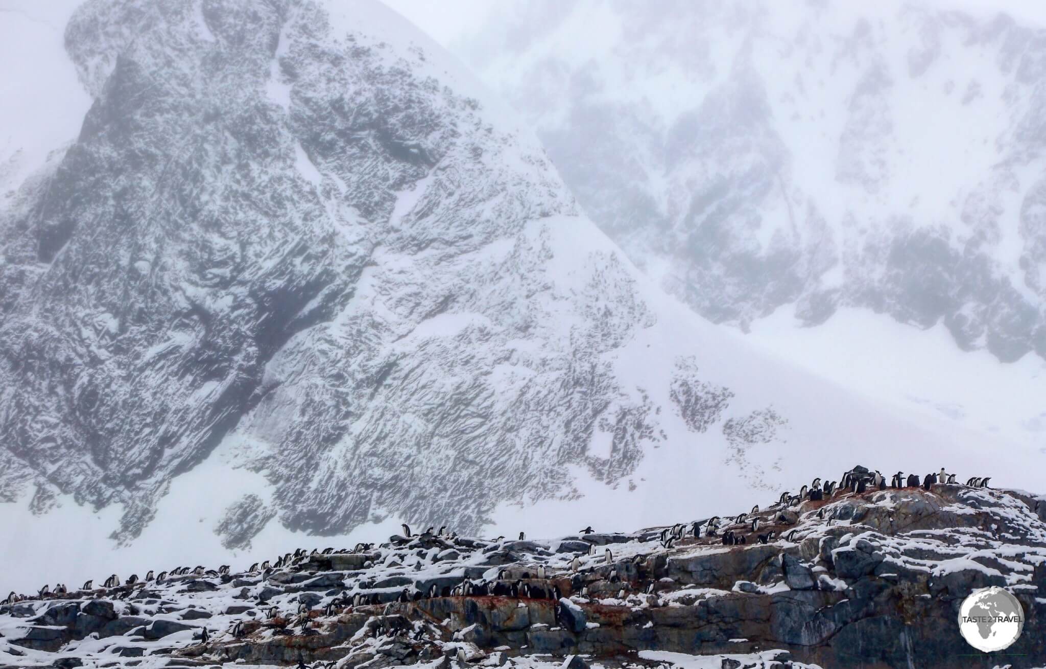 A Gentoo penguin colony on Petermann Island is dwarfed by the imposing peaks of Graham Land.