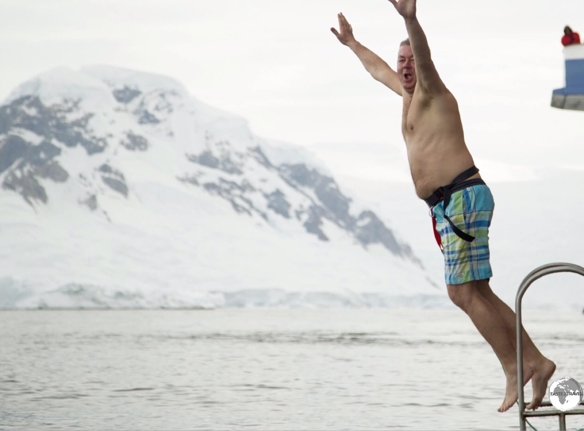 So graceful! The deep, freezing water of Wilhelmina Bay is the perfect place for a Polar Plunge.