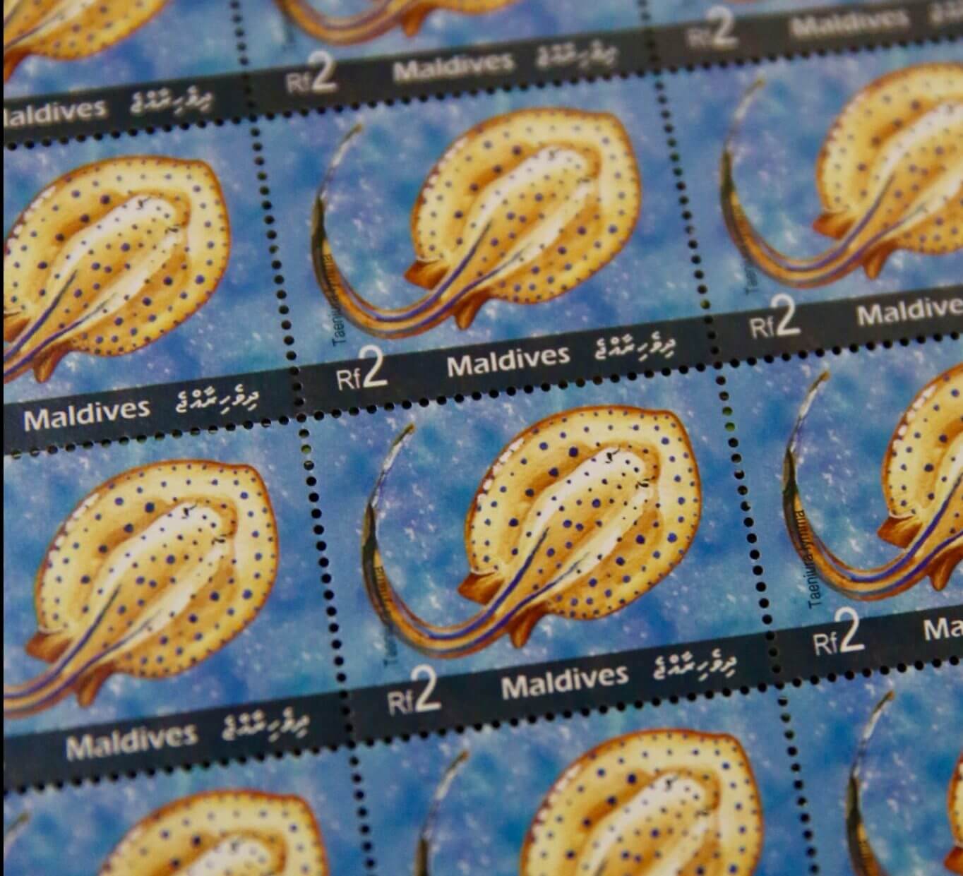 A Maldives stamp issue featuring a Stingray.