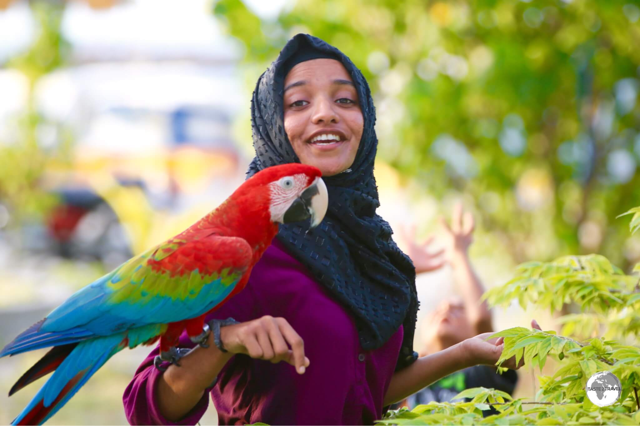 A long way from home - a pet Macaw being taken for a walk on Maafushi Island.