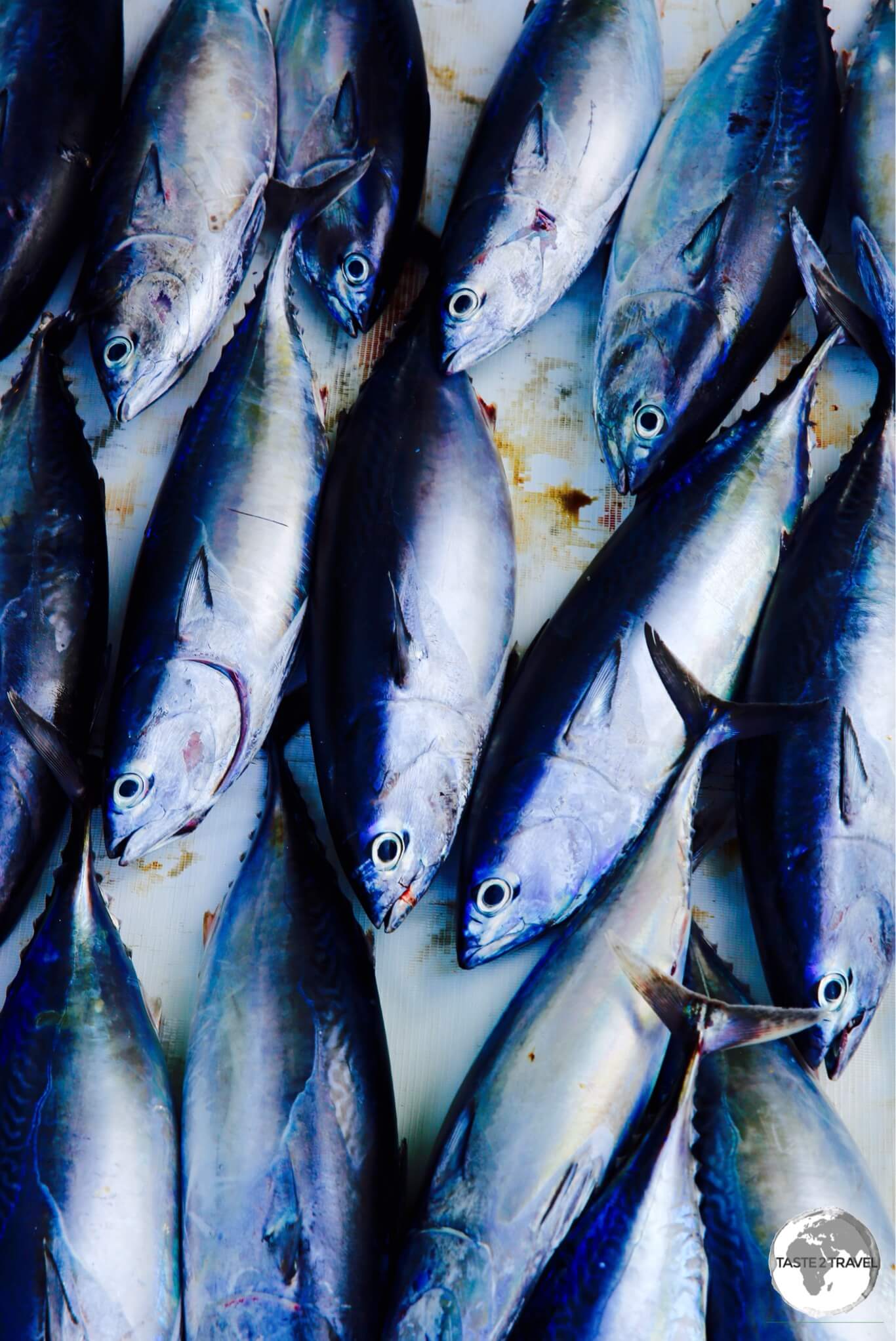 Freshly caught Tuna is found on most restaurant menus on Maafushi Island.