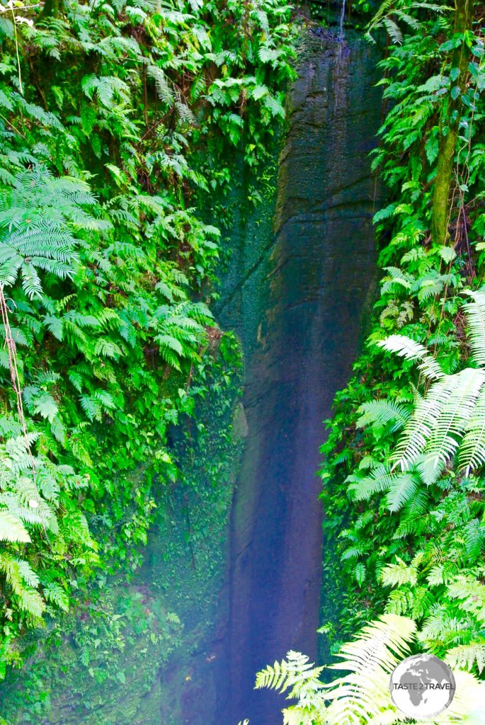 ‘Ana ‘Ahu, a bottomless sink-hole in the middle of the rainforest on 'Eua Island.