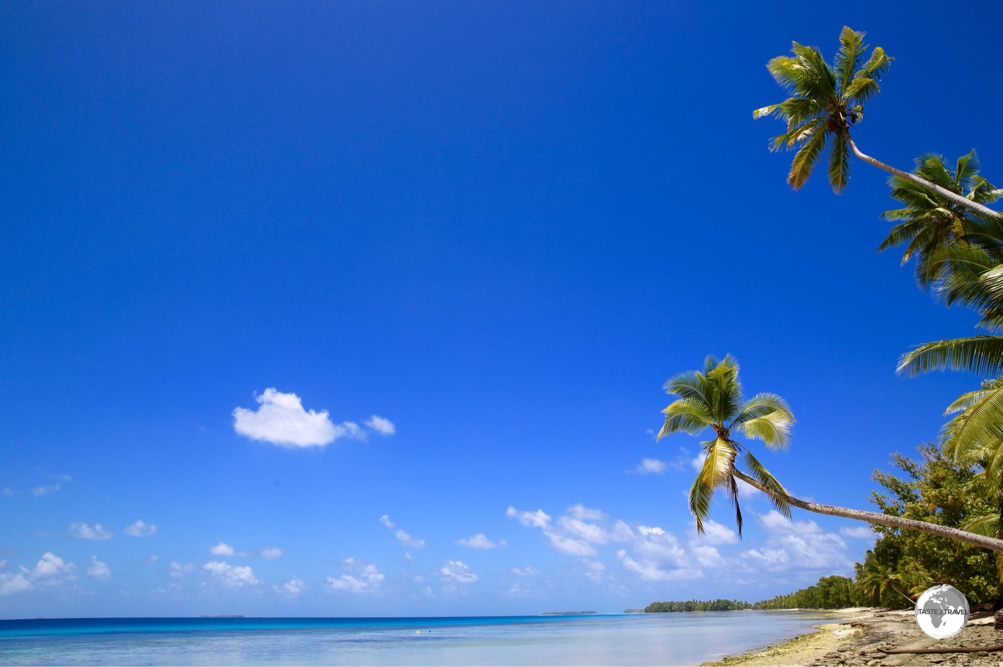 Tuvalu Travel Guide: Palm trees on Funafuti Lagoon.