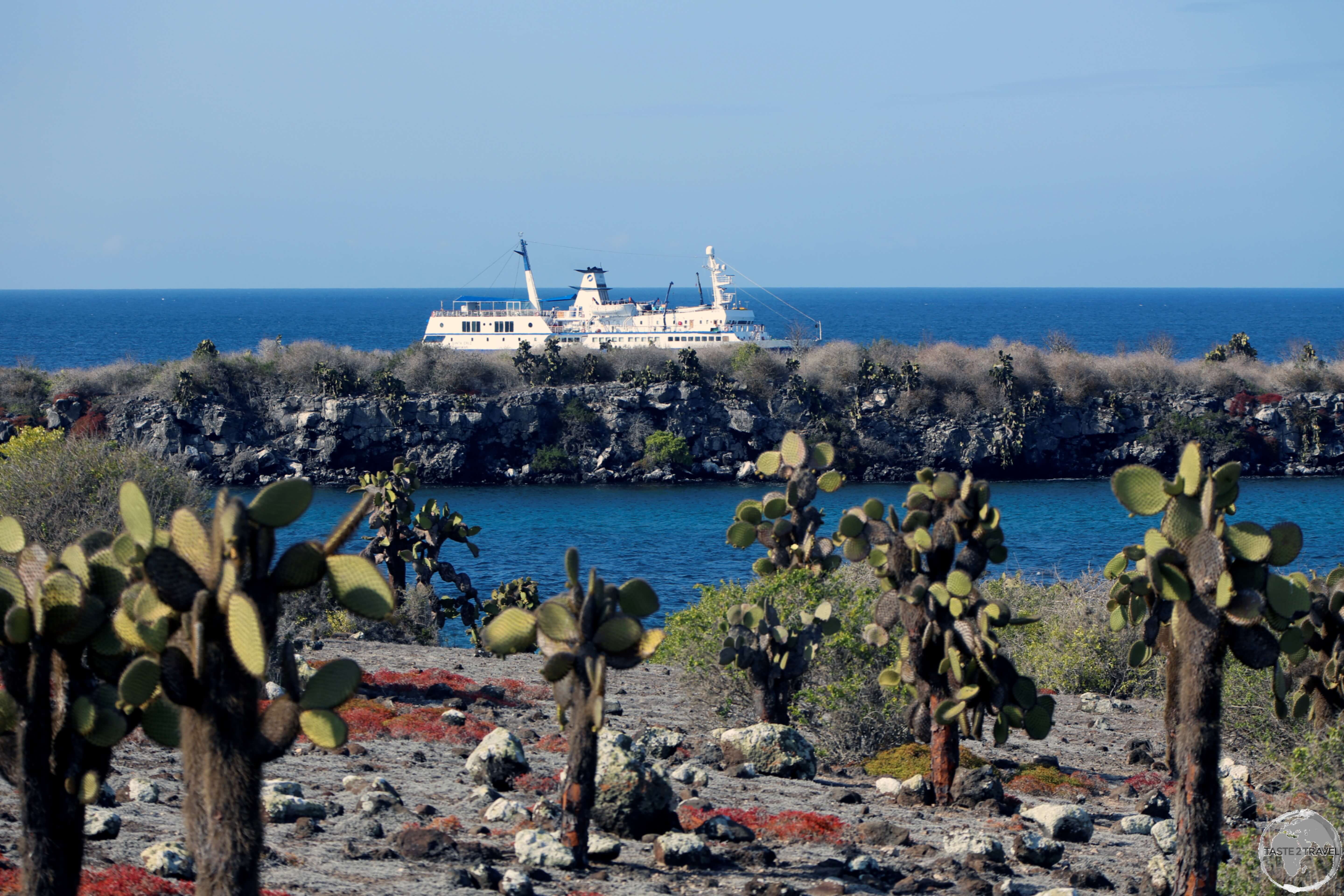 The MV Santa Cruz moored outside the channel on South Plaza island.