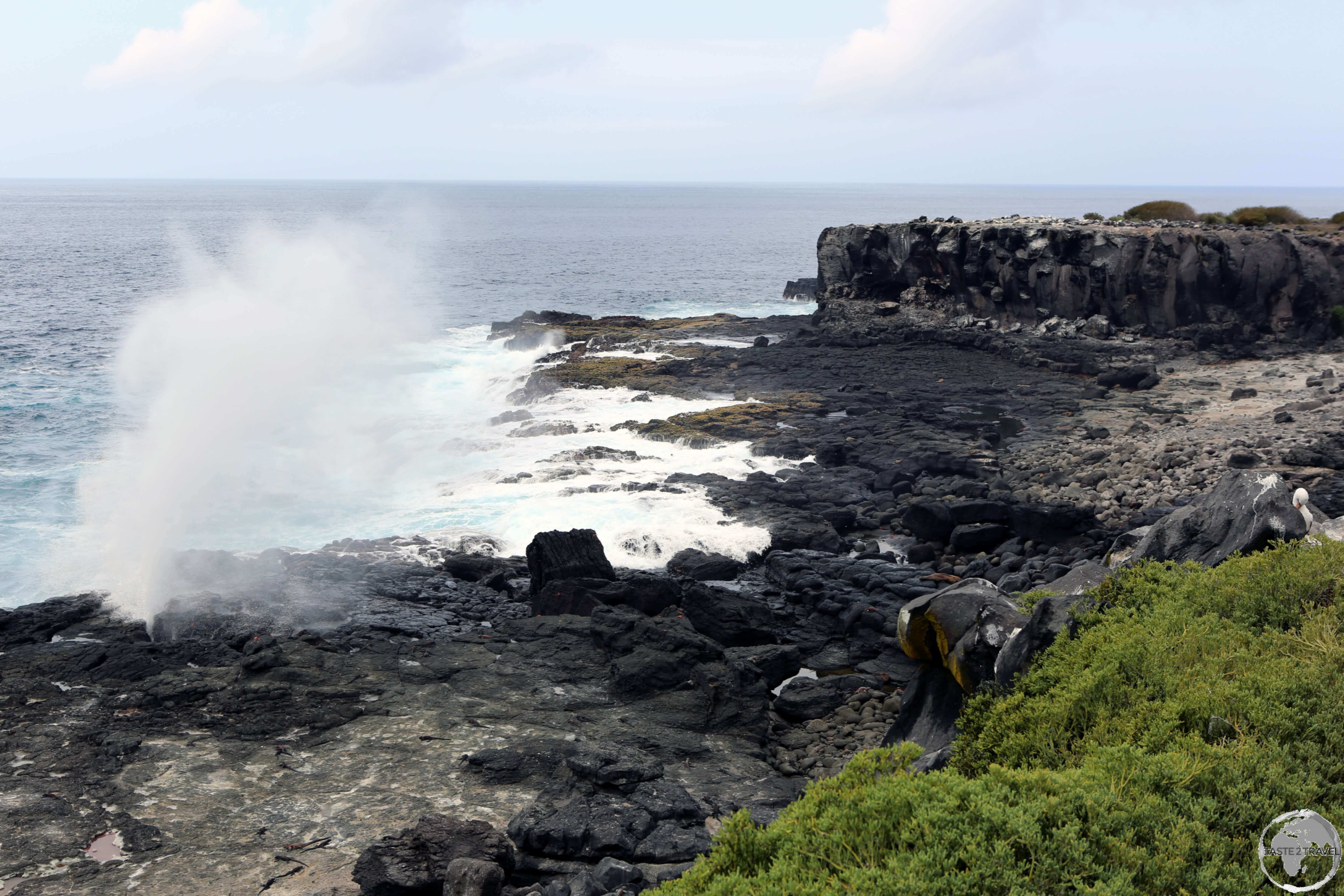 A view of the coastline of Española Island and “El Soplador” (the blower) which sprays water some 25 metres (75 feet) into the air.