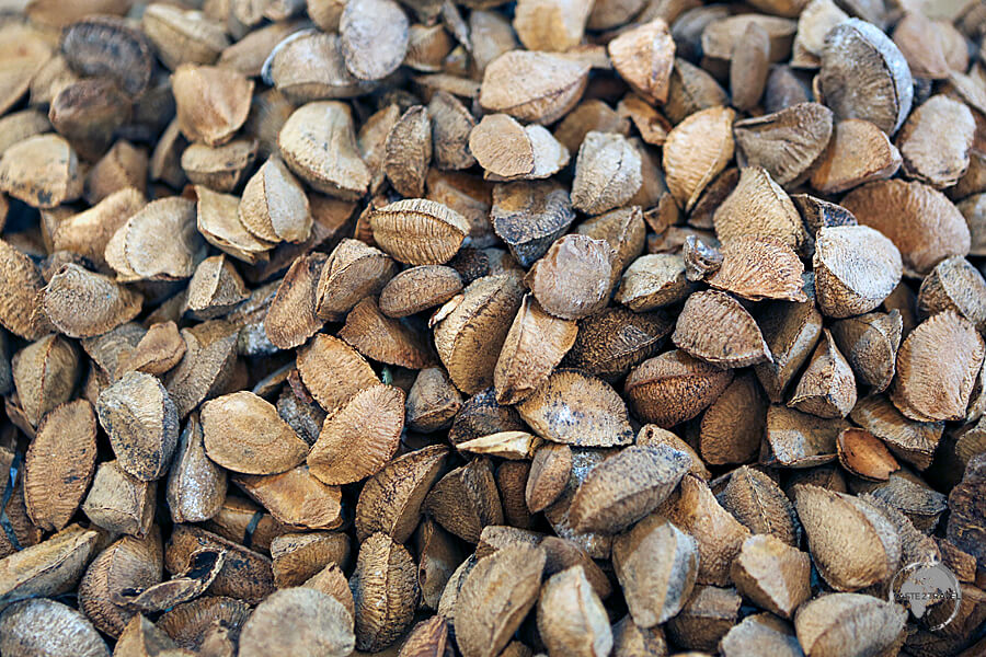 Raw Brazil nuts ready for processing at the Ver-o-Peso market in Belem.