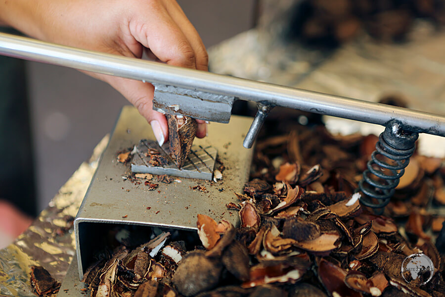 Seeing the effort involved in removing the shell of the Brazil nut gives you a greater appreciation of each nut.