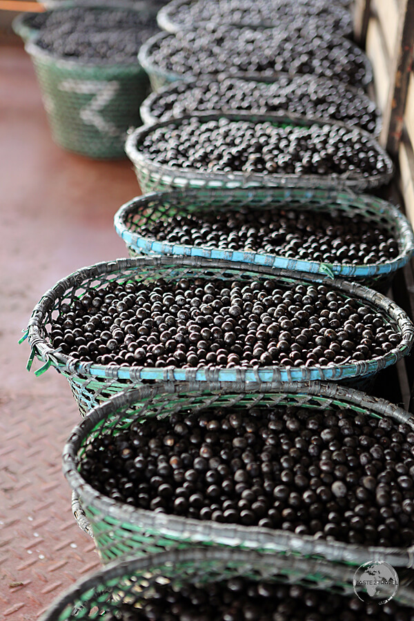 Açaí berries are exported all over the world from the Amazon region.