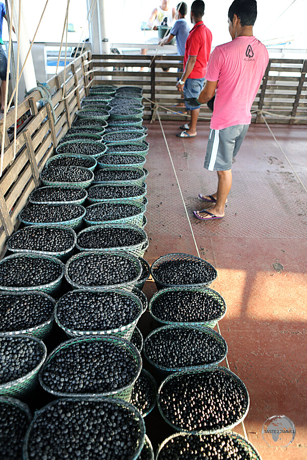 A whole section of the M/V Sao Francisco de Paula was reserved for Açaí transportation.