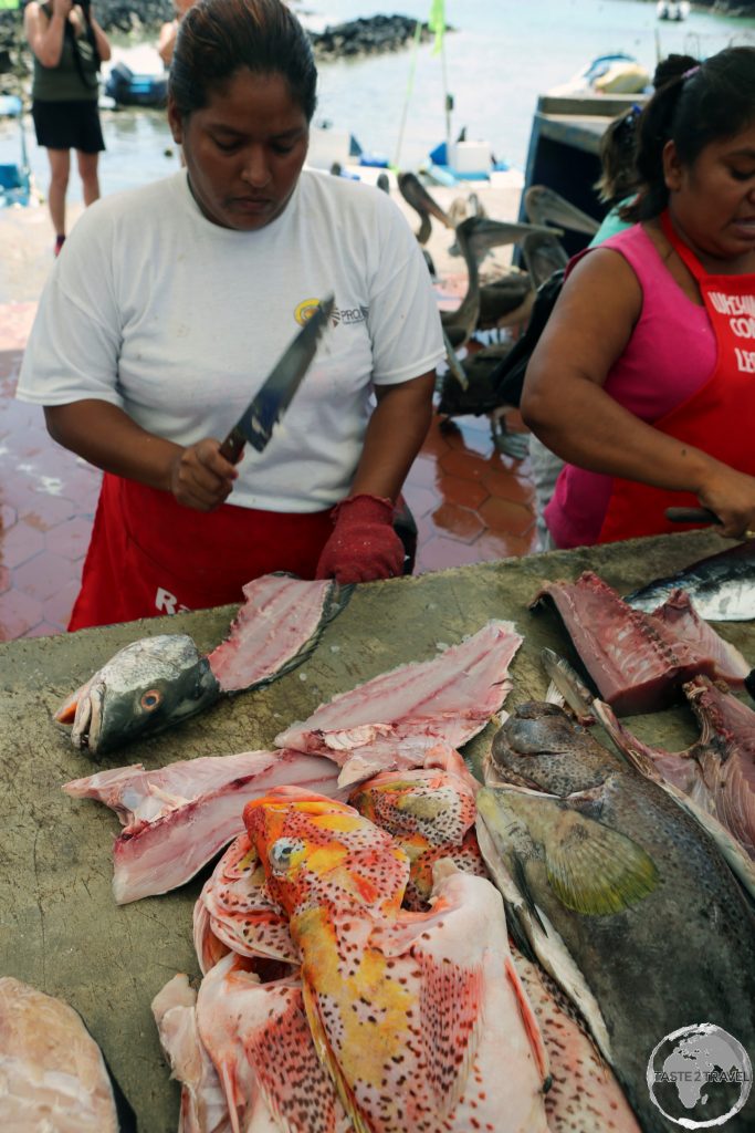 The bustling fish market at Puerto Ayora on Santa Cruz Island, one of the few Galapagos Islands which is populated.