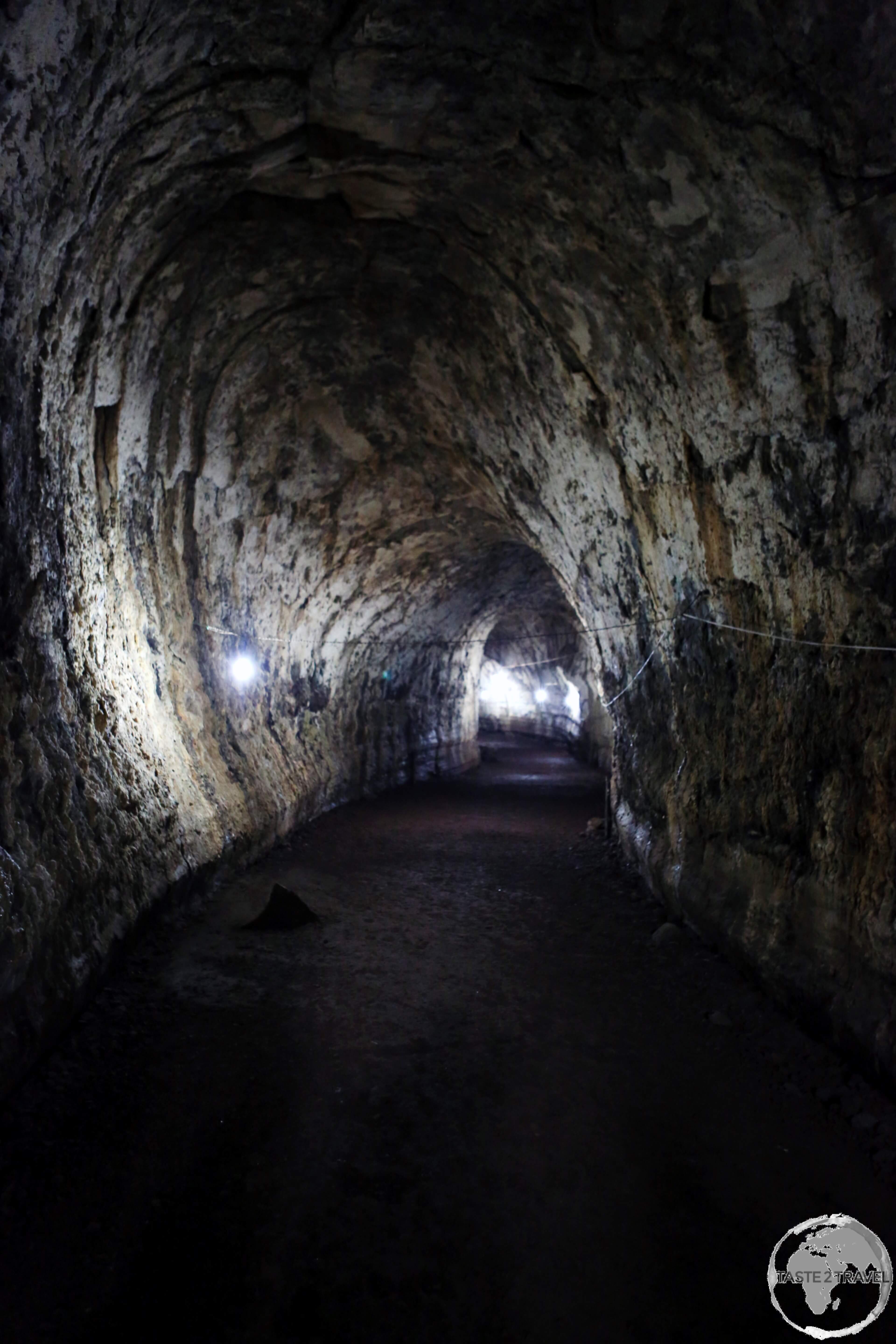 Exploring a perfectly formed lava tunnel on Santa Cruz Island.