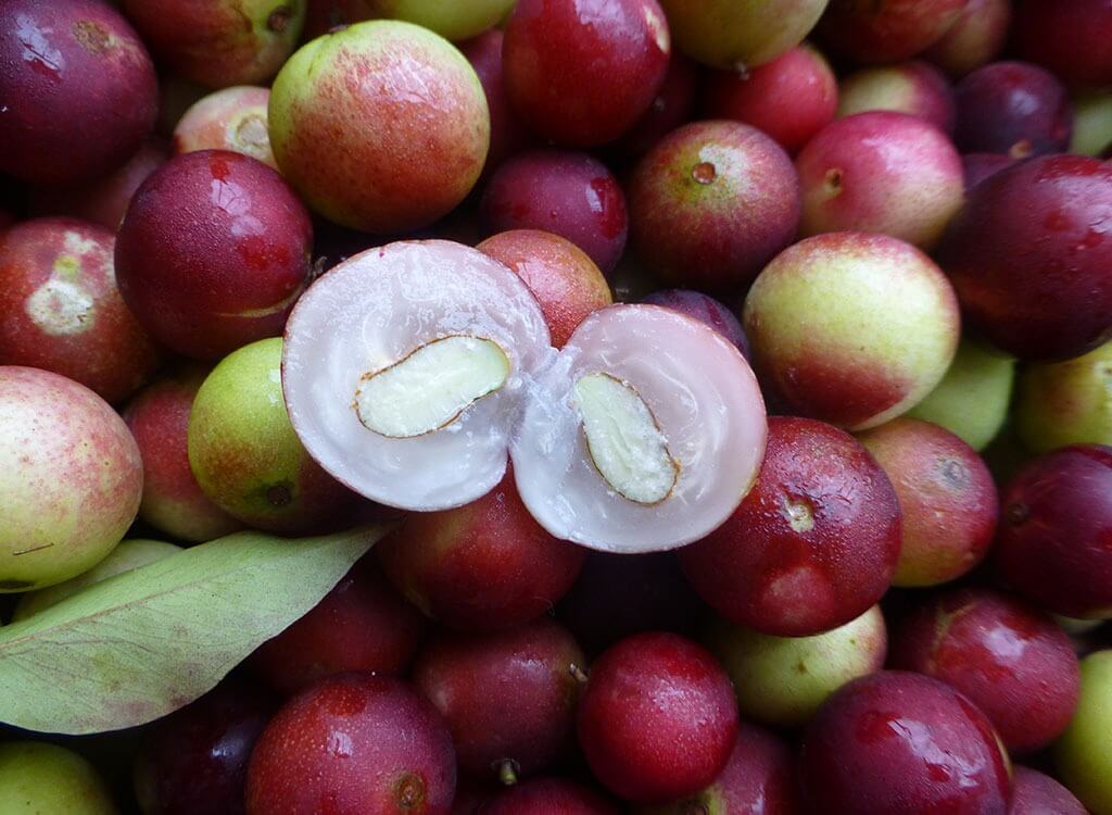 Camu Camu is an Amazonian super fruit and tastes amazing in a Pisco Sour.