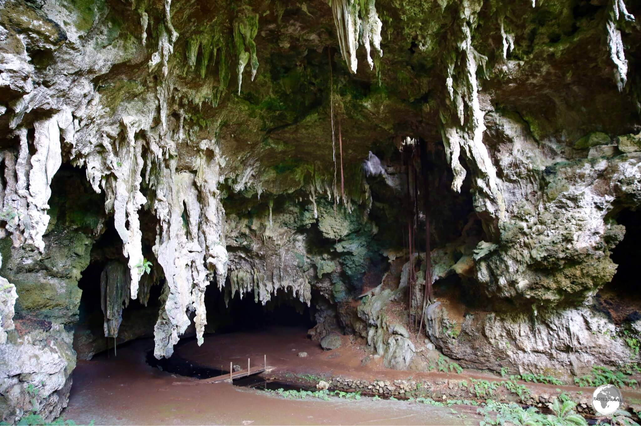 The entrance to the impressive Grotte de la Reine Hortense on Isle of Pines. 