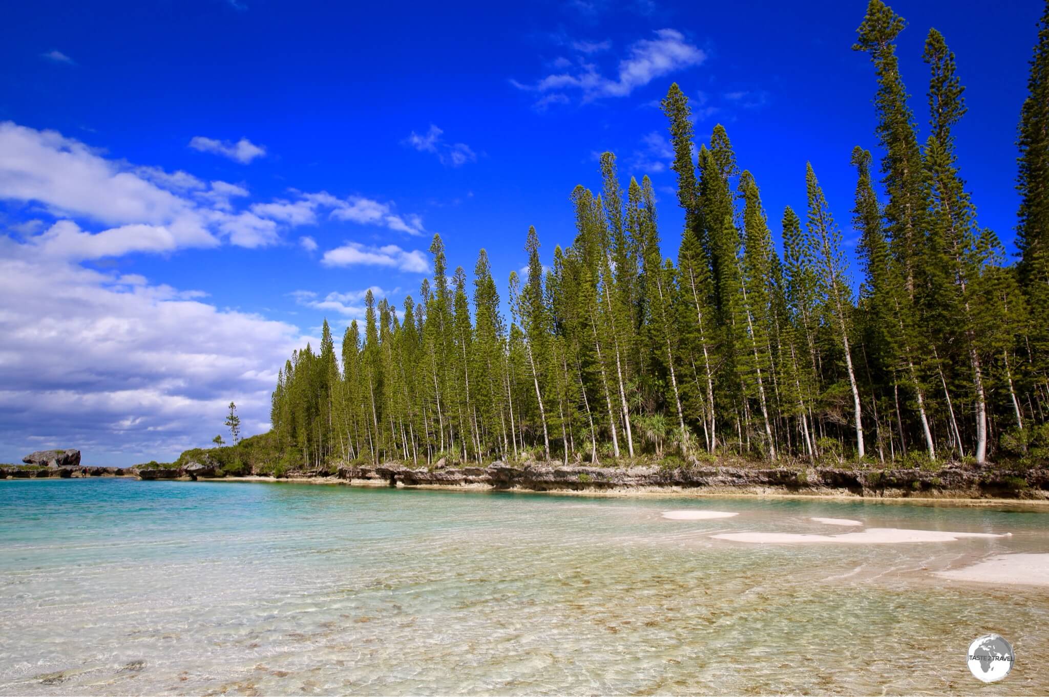 The Isle of Pines was named by Captain James Cook who was intrigued by the unique, towering Araucaria pine trees, which can be found all over the island.