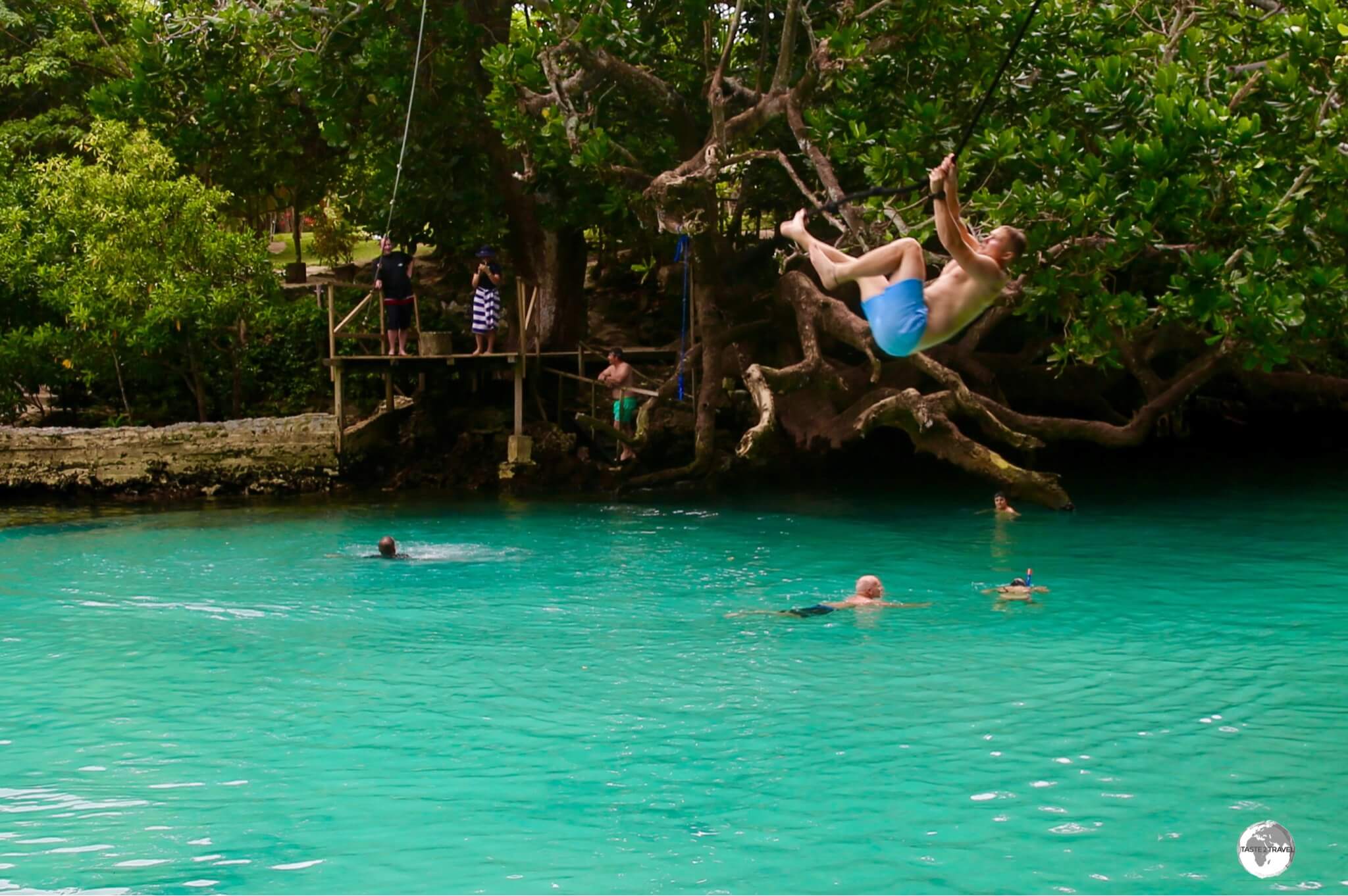 Blue Lagoon is a place to unwind and swing like a monkey! 