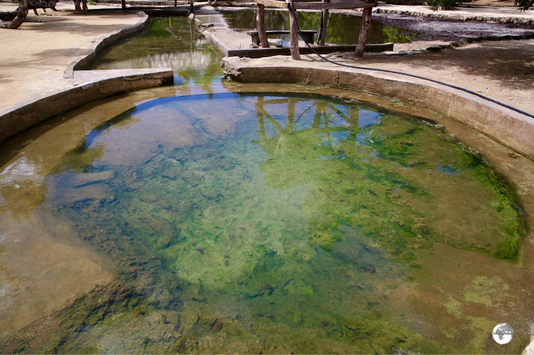 The thermal pools at Takara Hot Springs which are located on the north-east coast of Efate. 