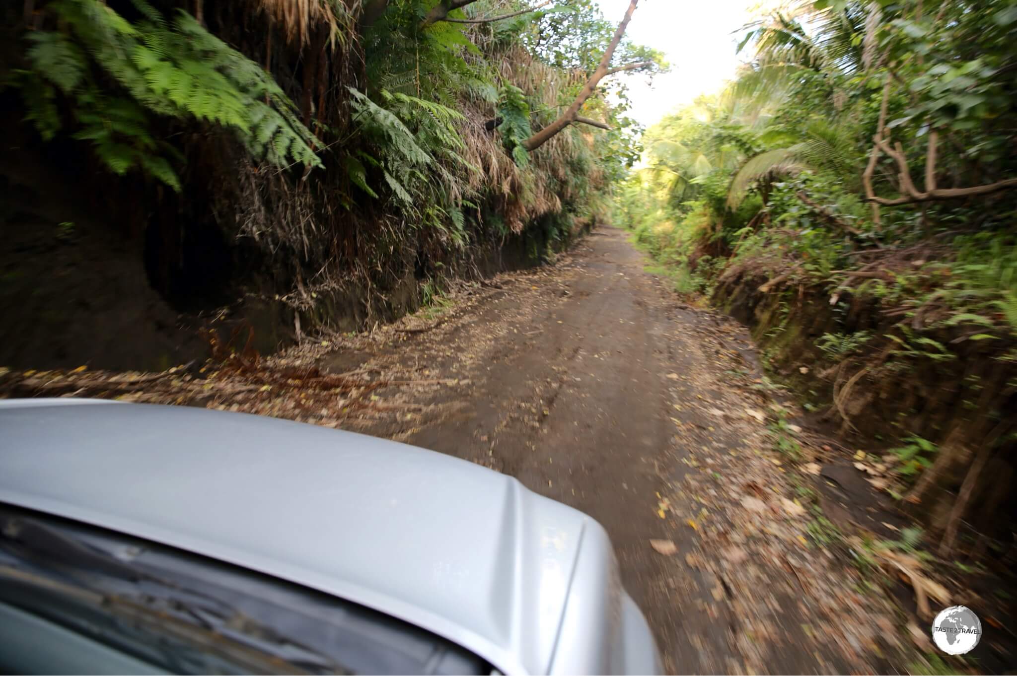 Most roads on Tanna are un-signposted, rough, 4WD tracks. Not surprisingly, there are no rental cars on the island.