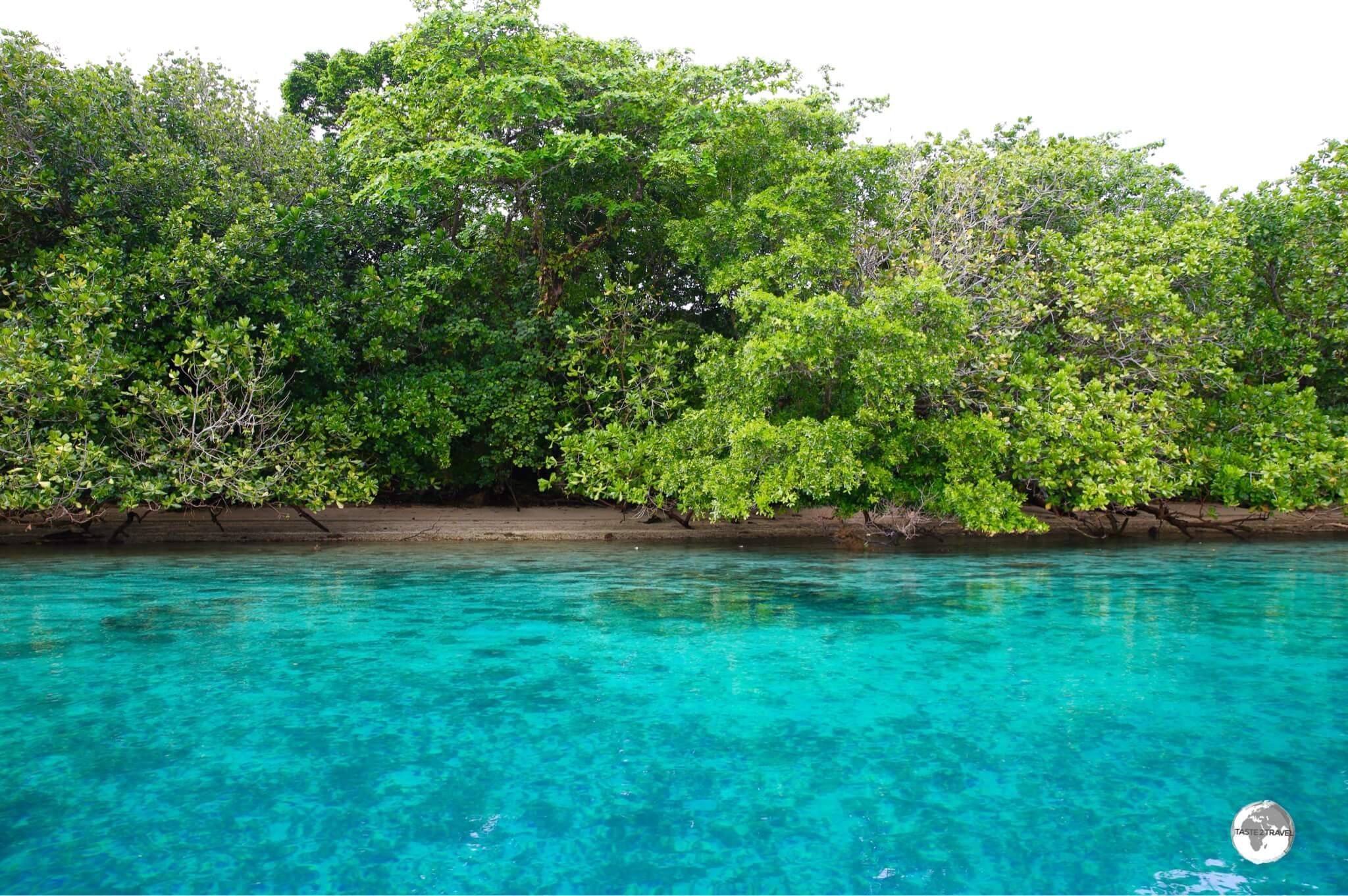 Үйде жасалған махаббат секс туралы видео
